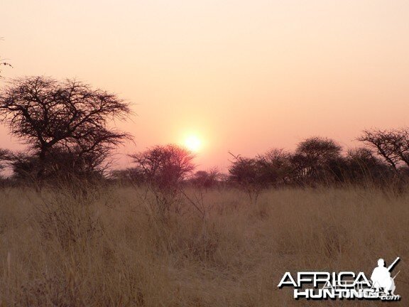 Sunset in the Bush