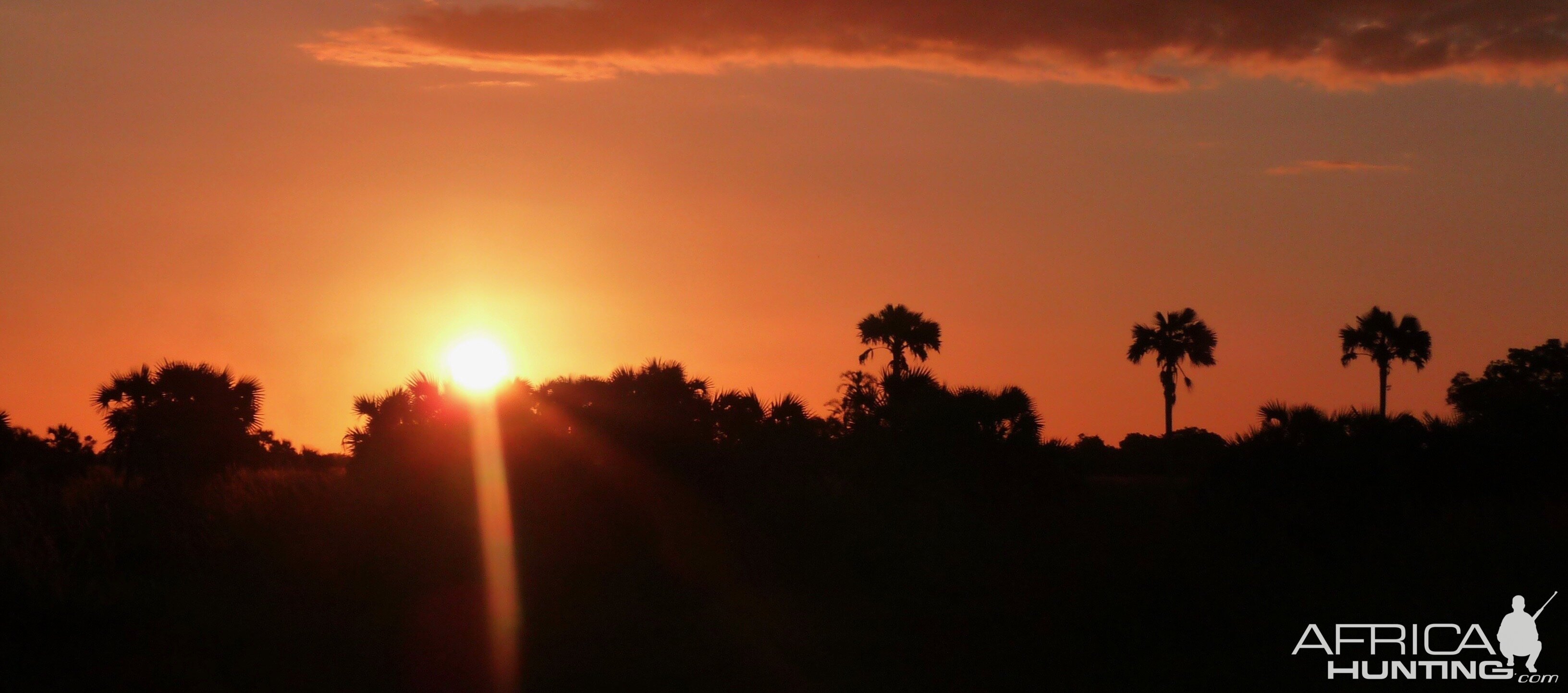 Sunset in Zambeze Mozambique