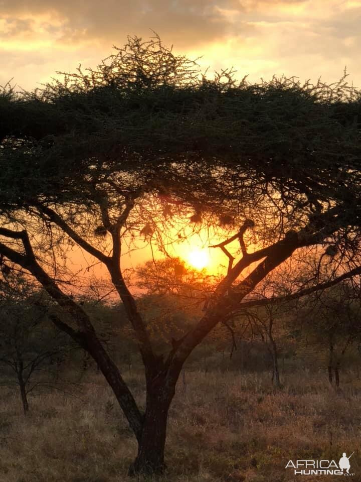 Sunset in Zimbabwe