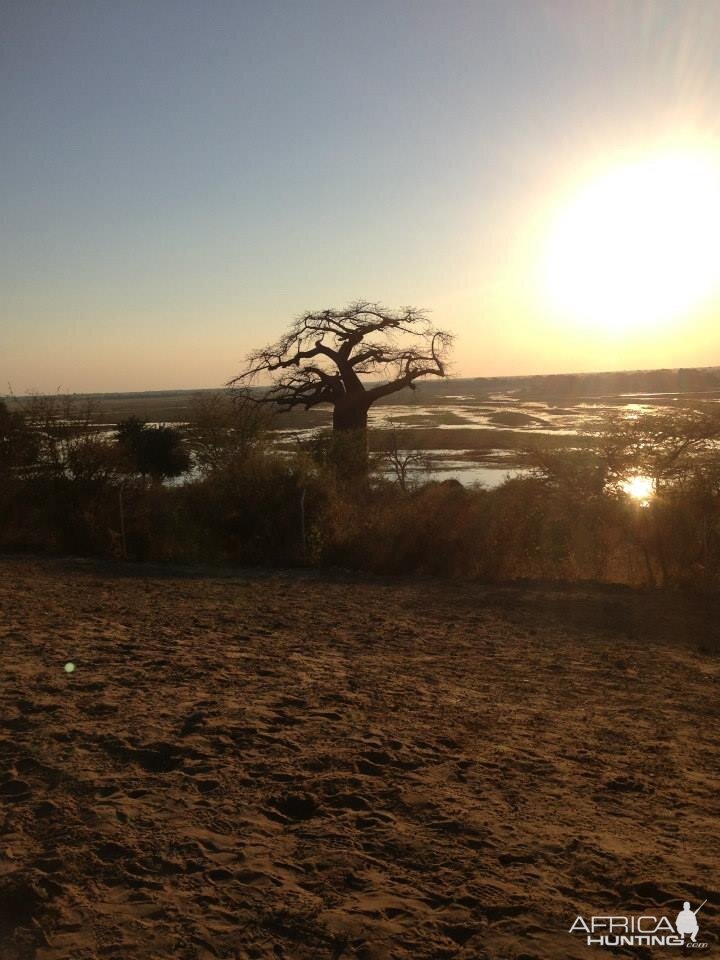 Sunset on the Okavango delta, Botswana