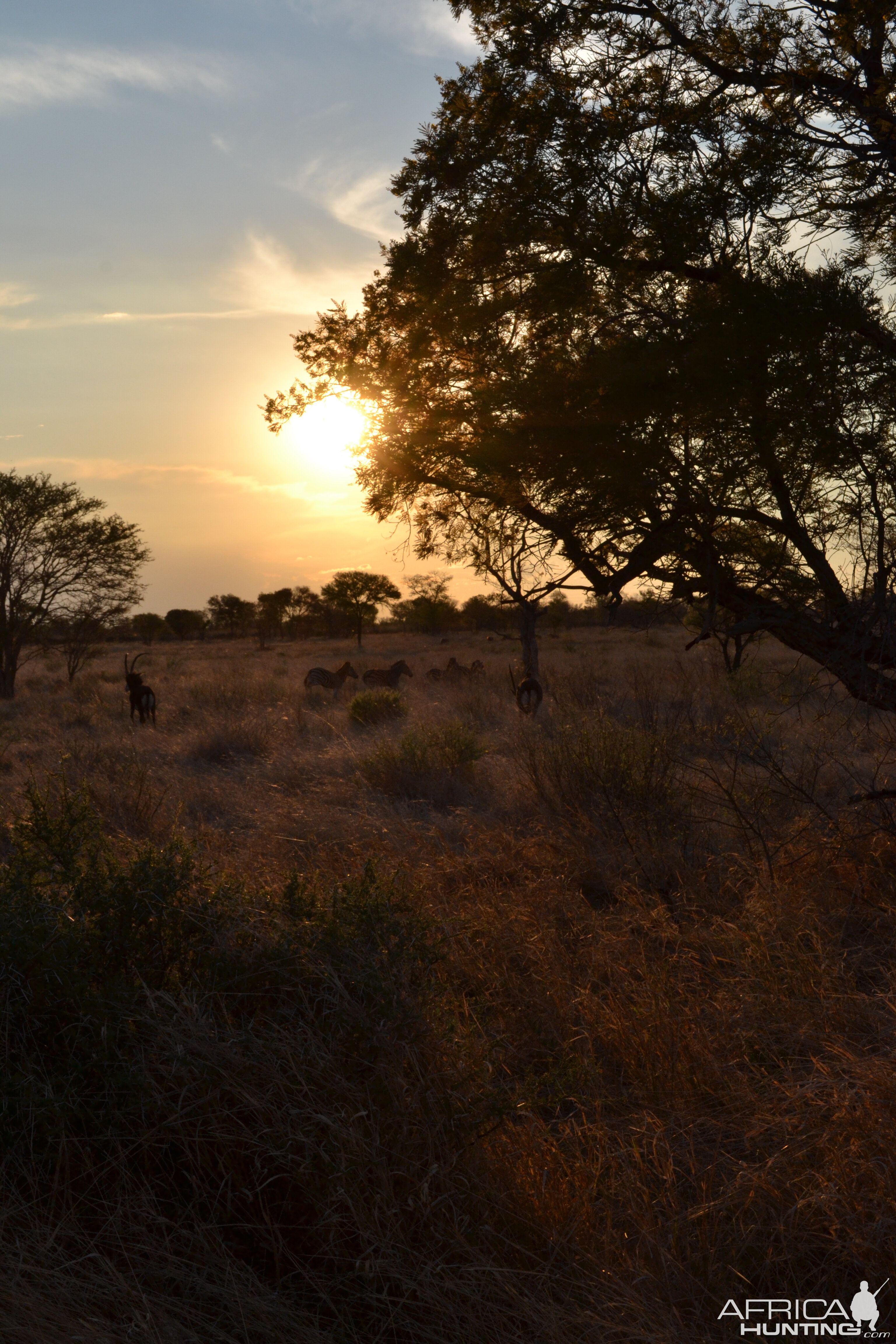 Sunset South Africa