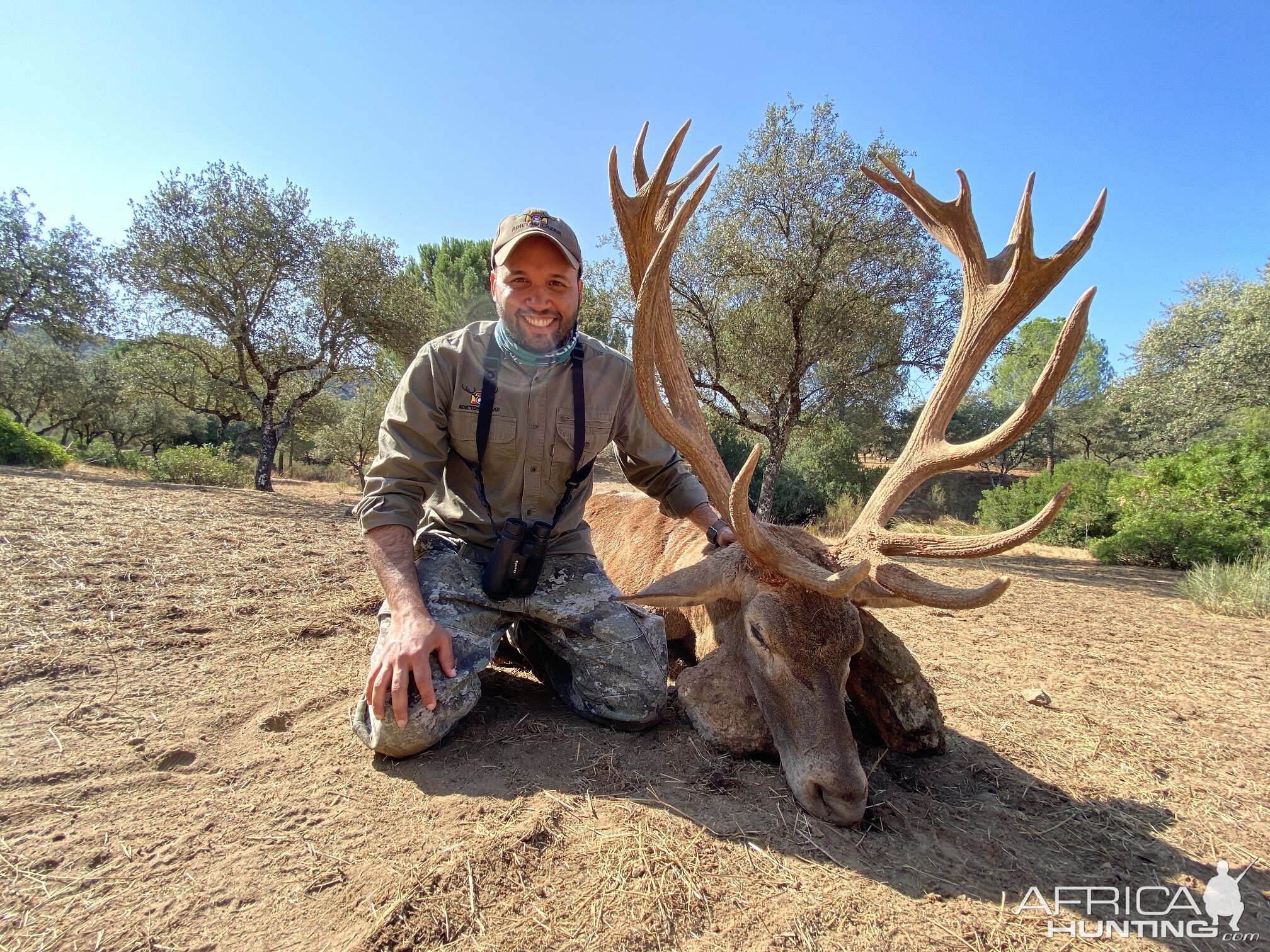 Super Gold Stag 215 Points Hunt in Spain