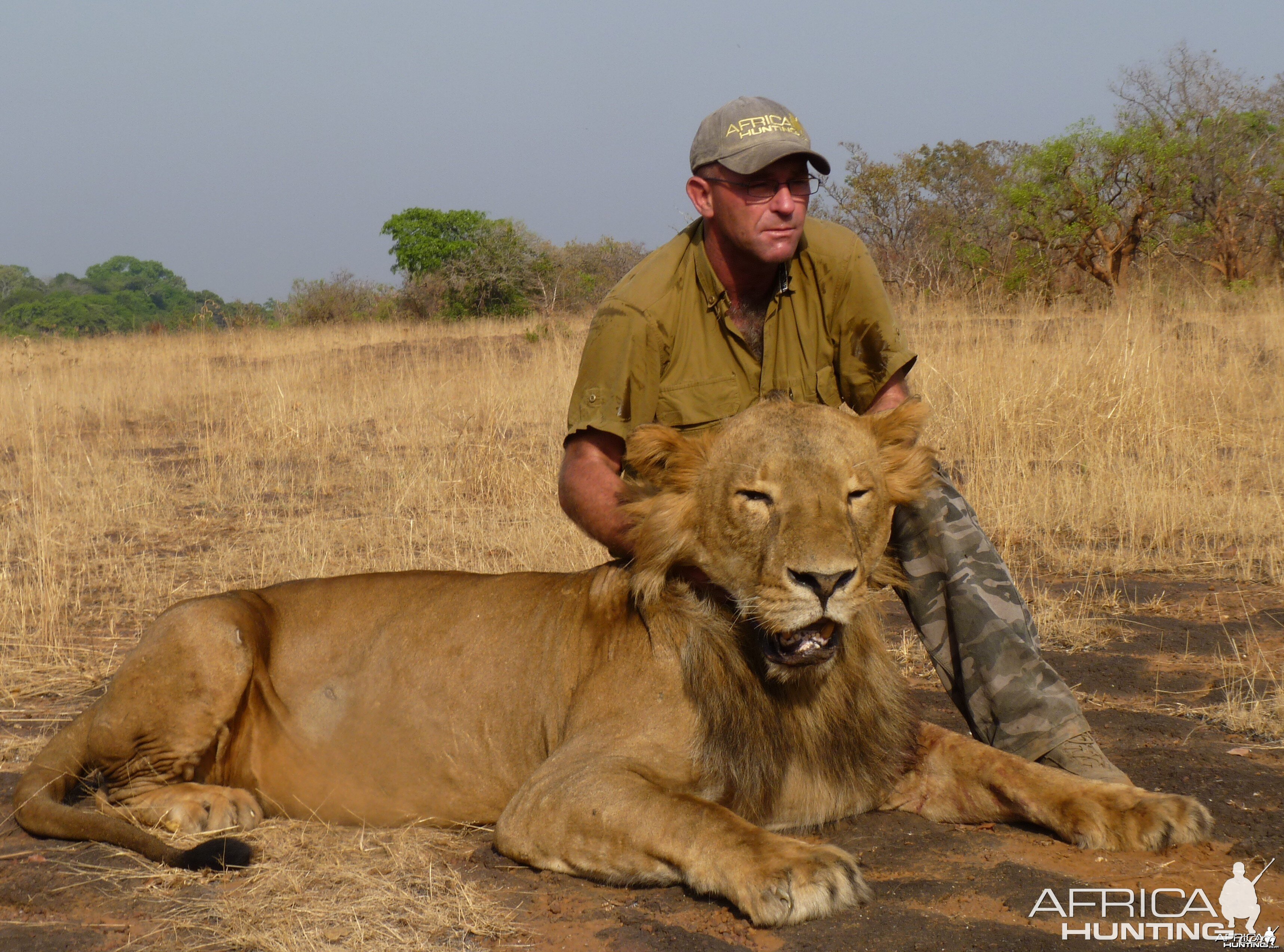 Superb Lion hunted in CAR