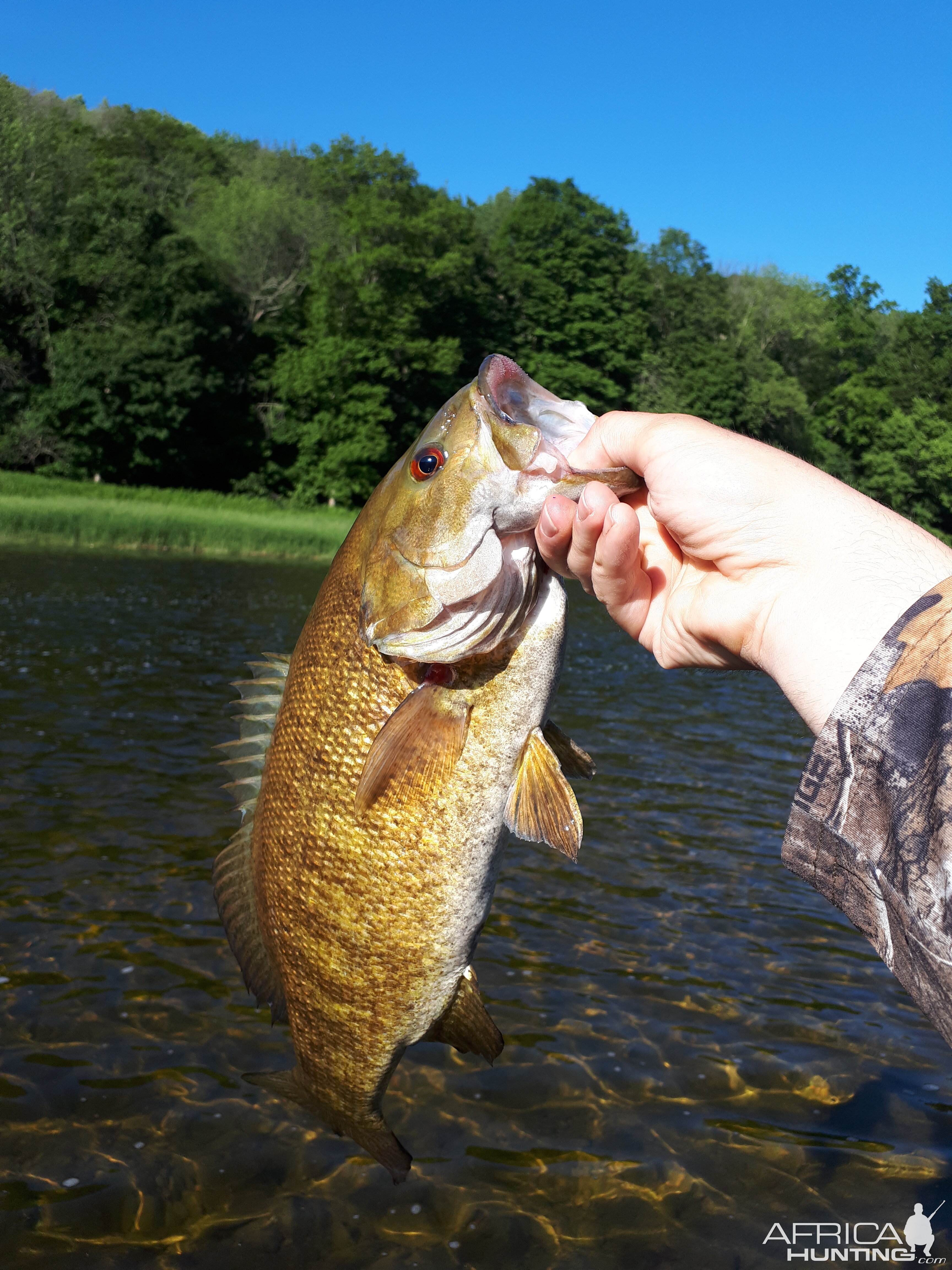 SW Ontario Canada Fly Fishing River Bass