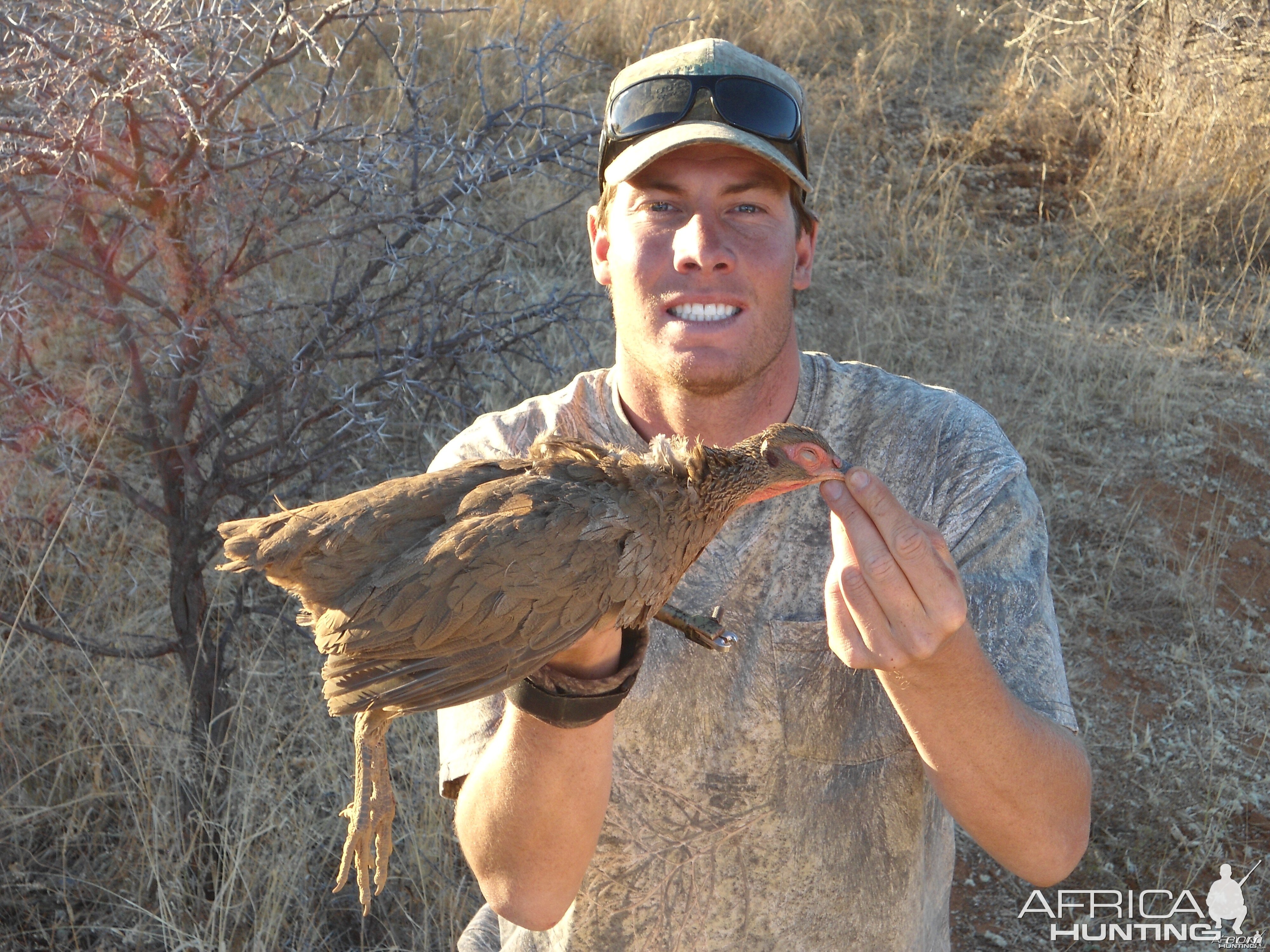 Swainson Francolin hunted with Ozondjahe Hunting Safaris in Namibia