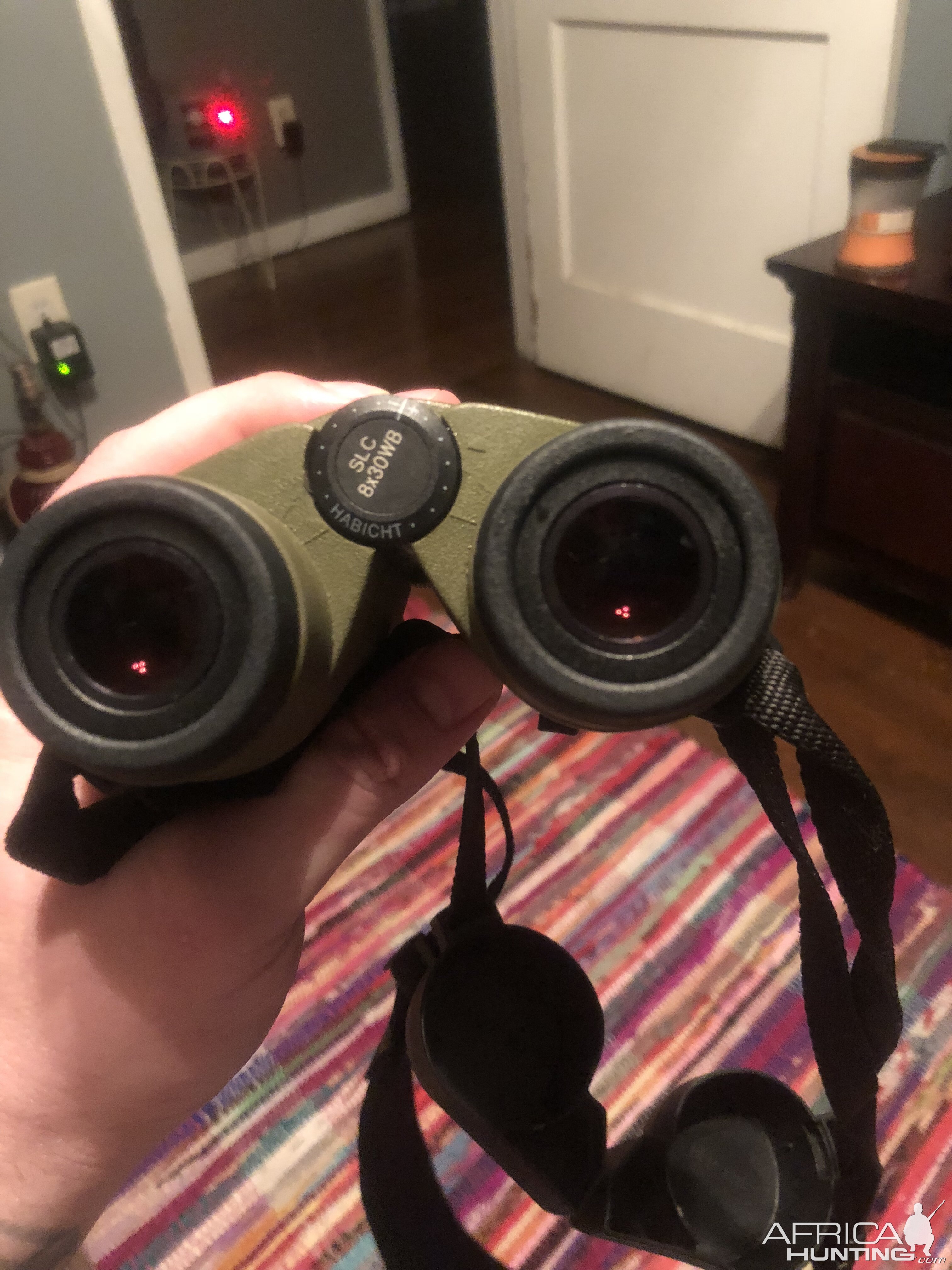 Swarovski 8x30 Binoculars