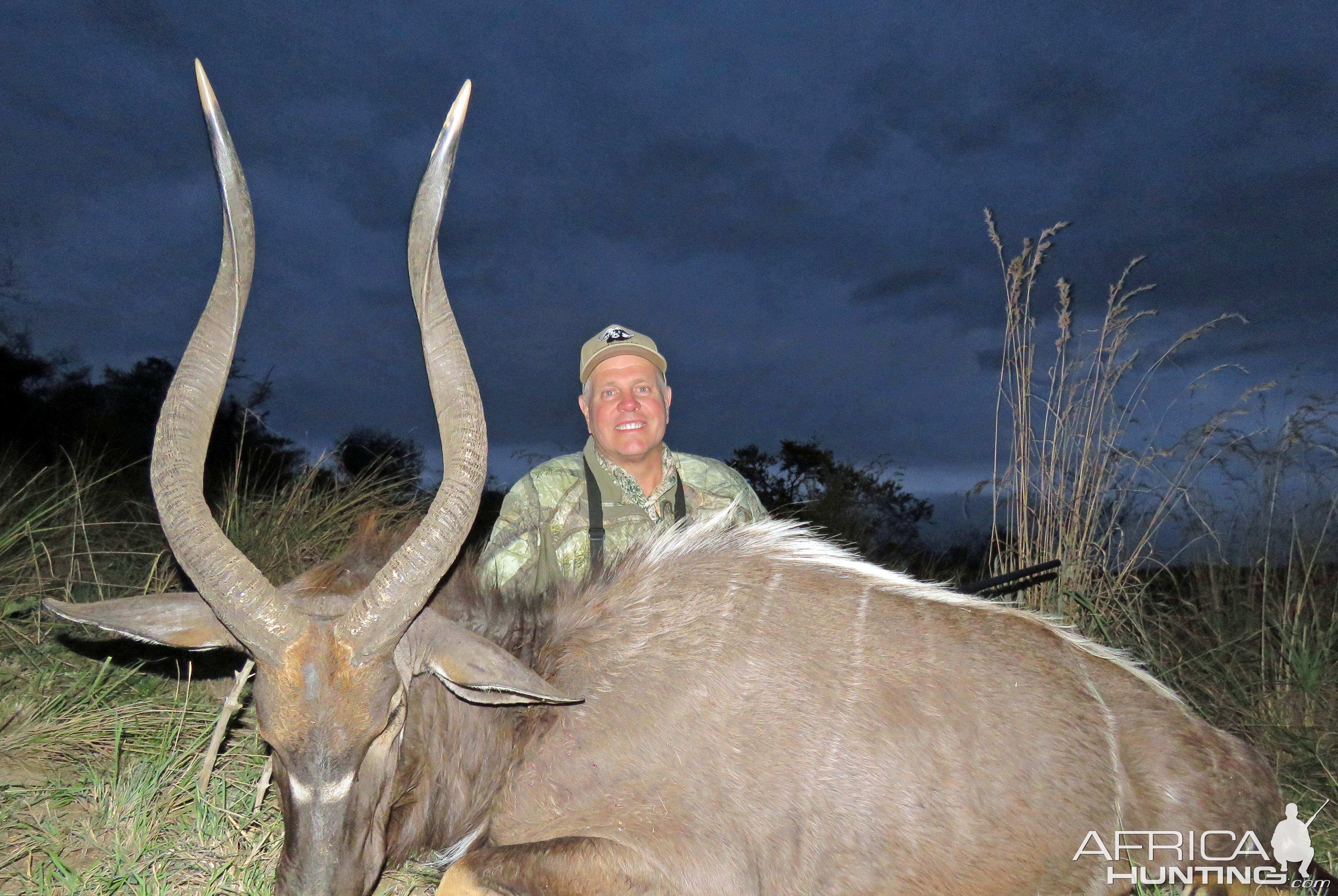 Symmetrical 28" Nyala Bull, Kwa Zulu Natal