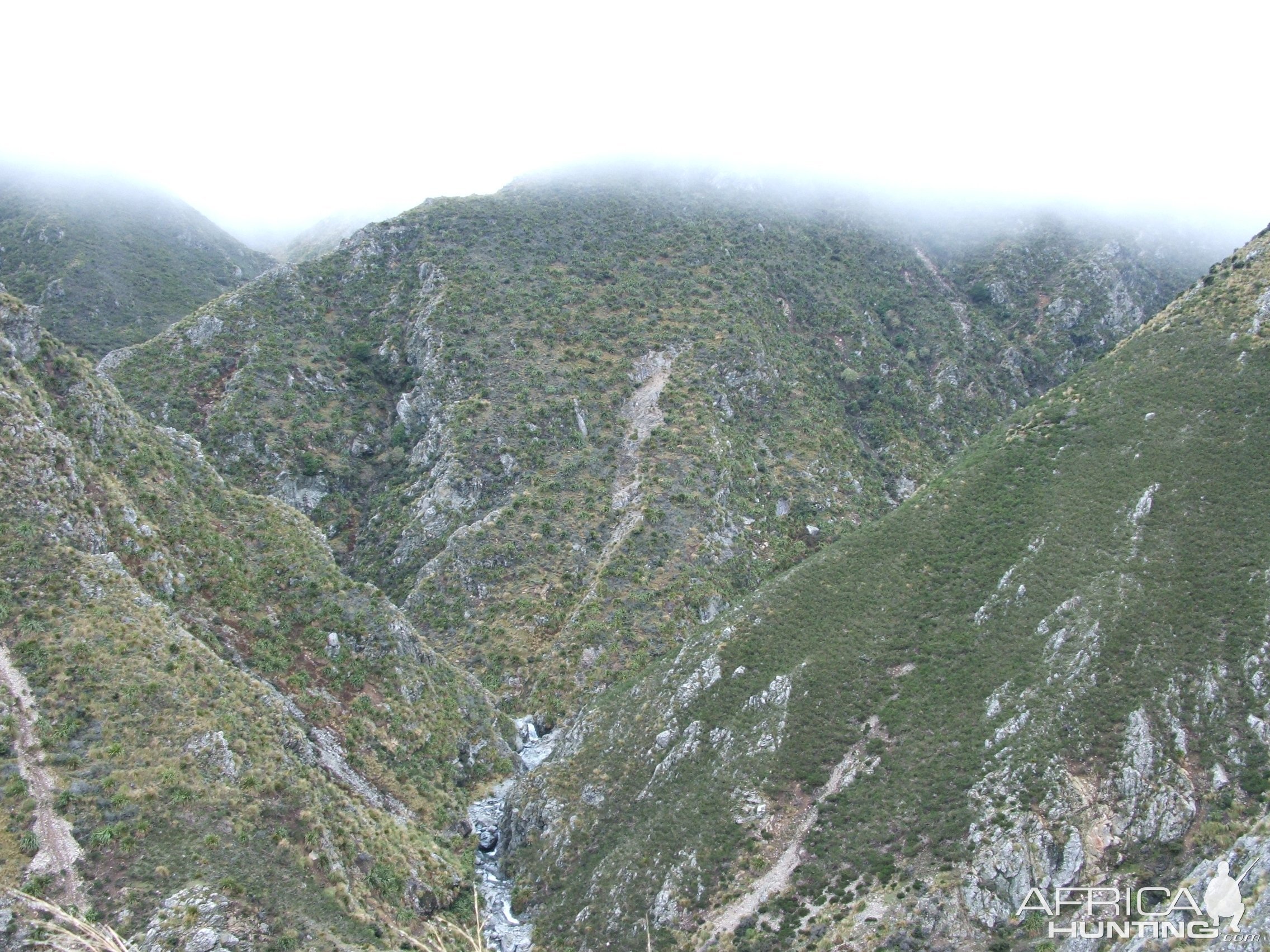 Tahr Country New Zealand