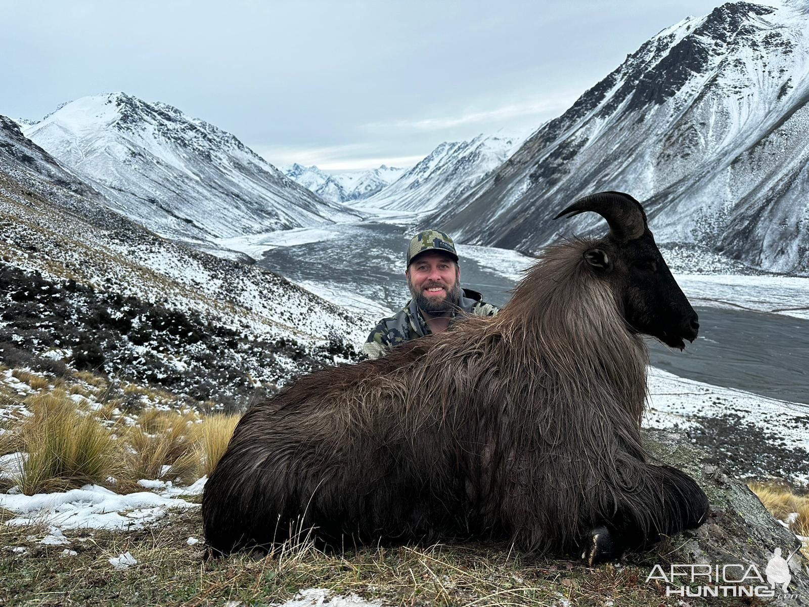 Tahr Hunt New Zealand