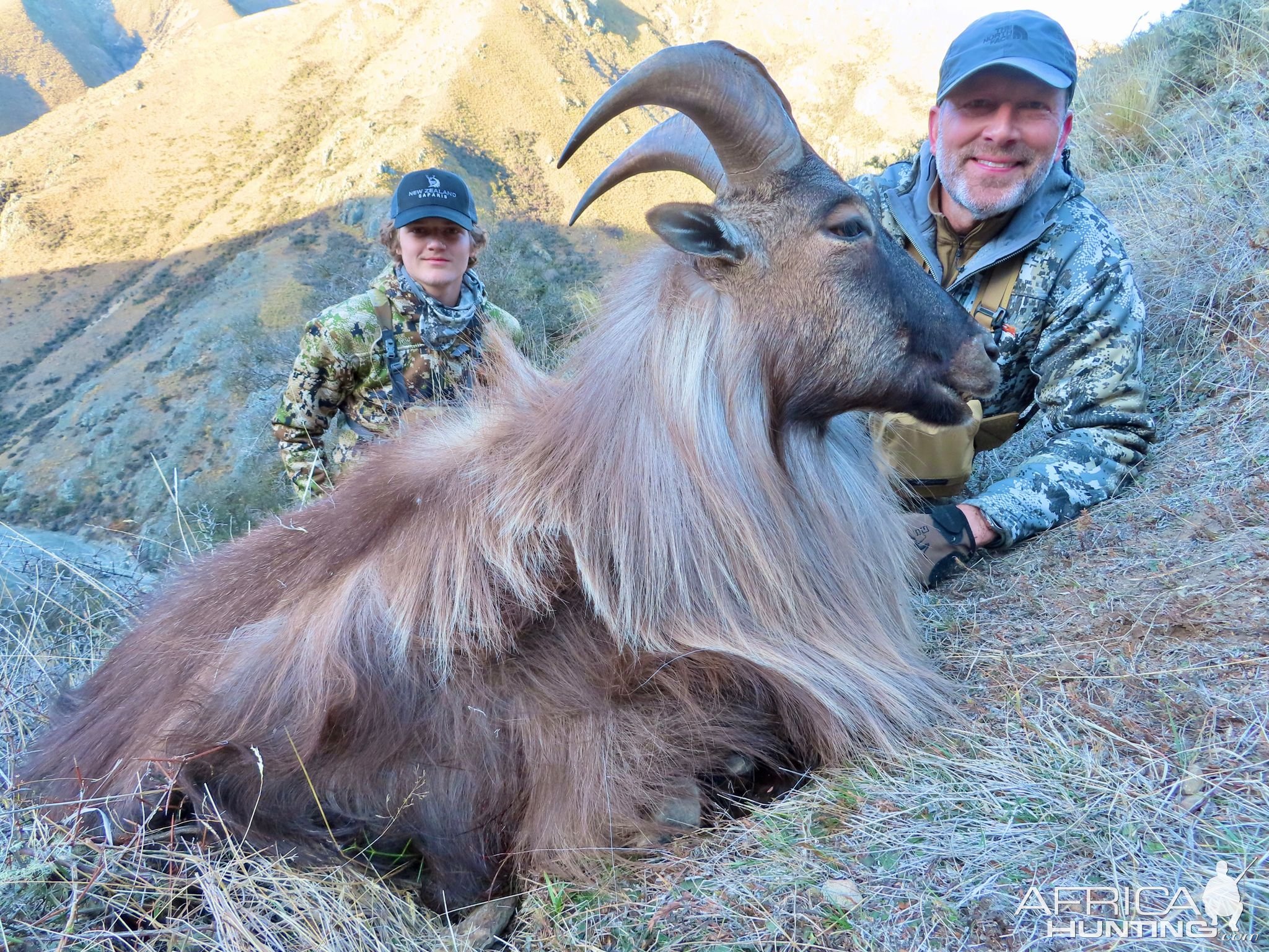 Tahr Hunt New Zealand