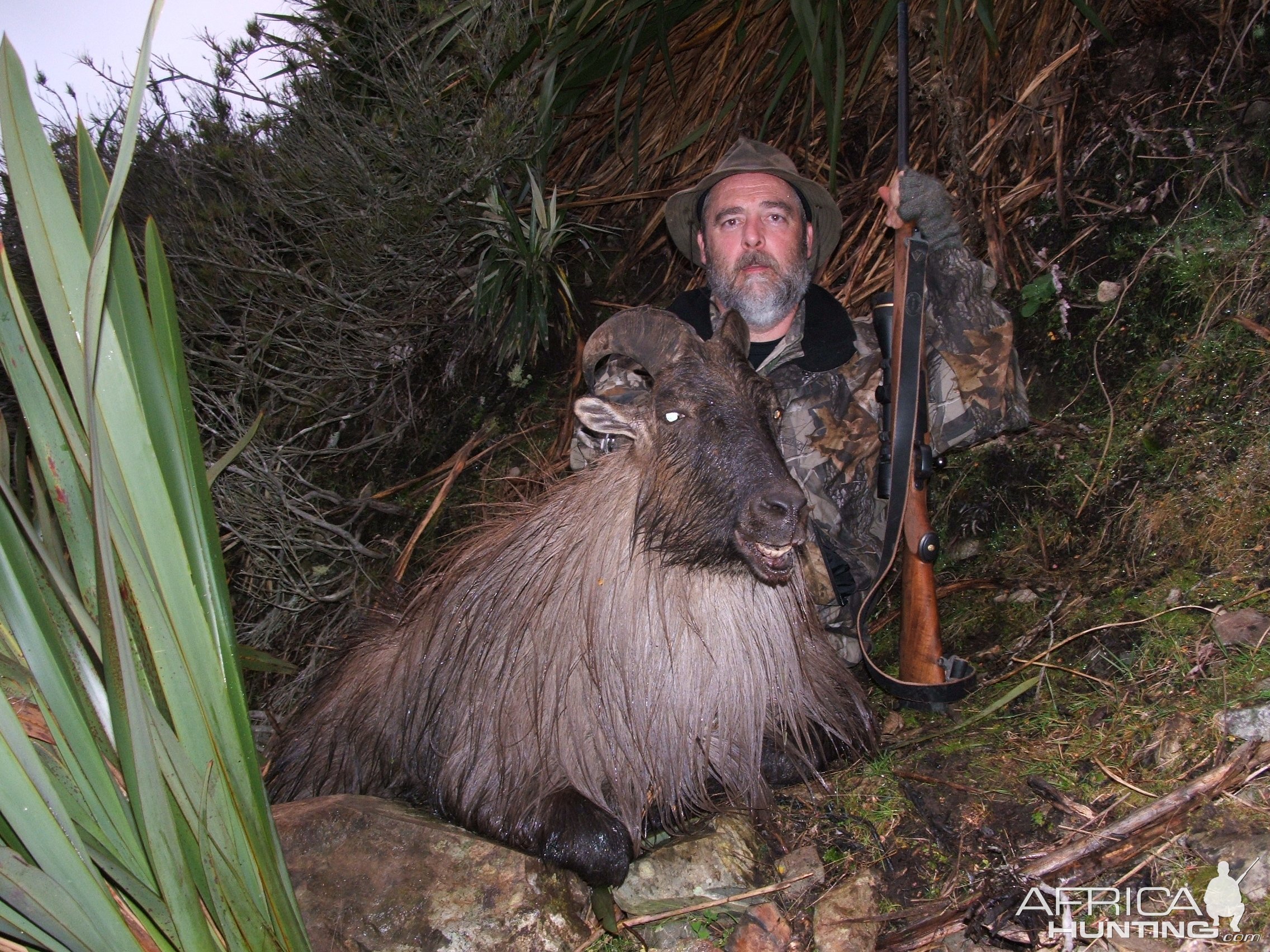 Tahr Hunt New Zealand