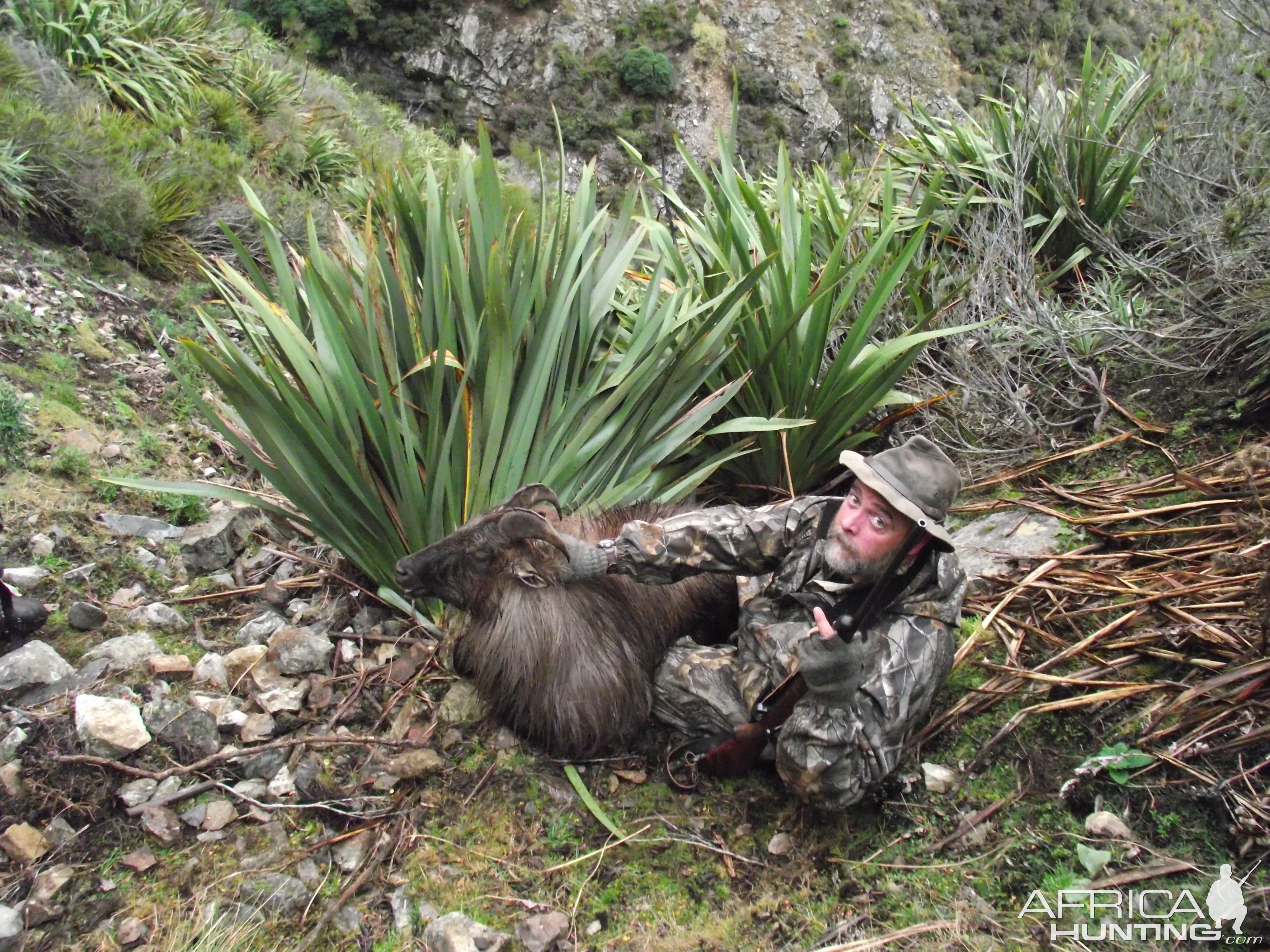 Tahr Hunt New Zealand