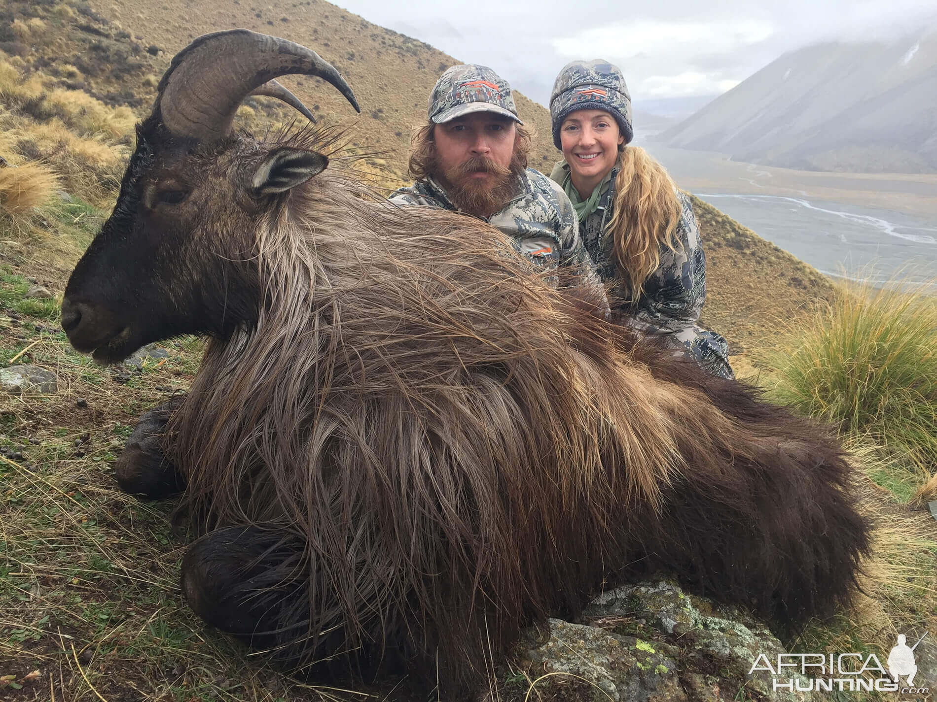 Tahr Hunt New Zealand