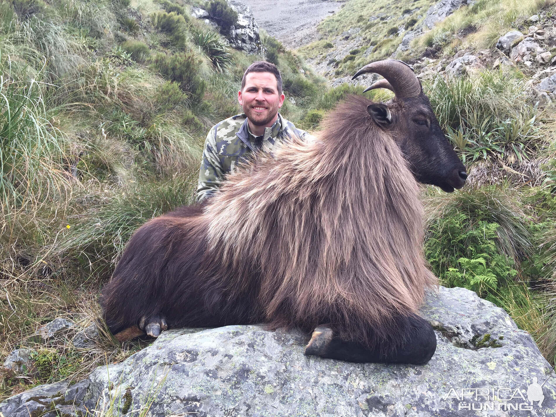 Tahr Hunt New Zealand