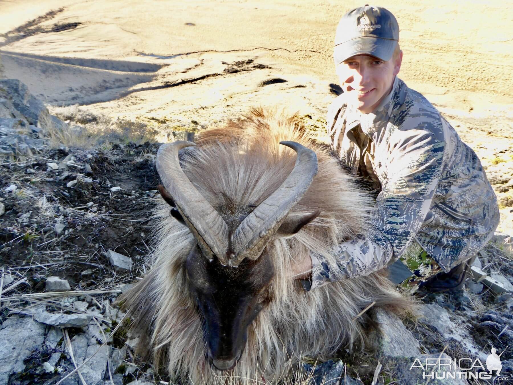 Tahr Hunt New Zealand