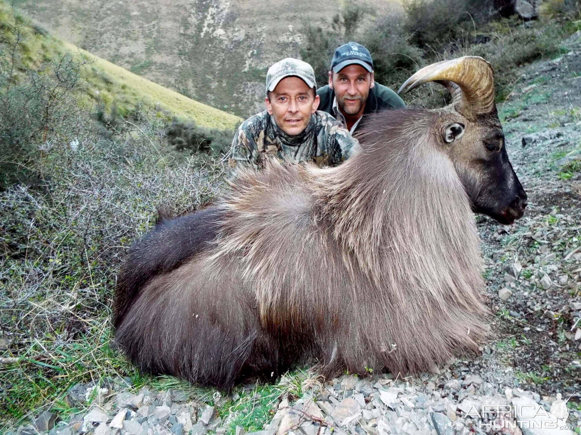 Tahr Hunt New Zealand