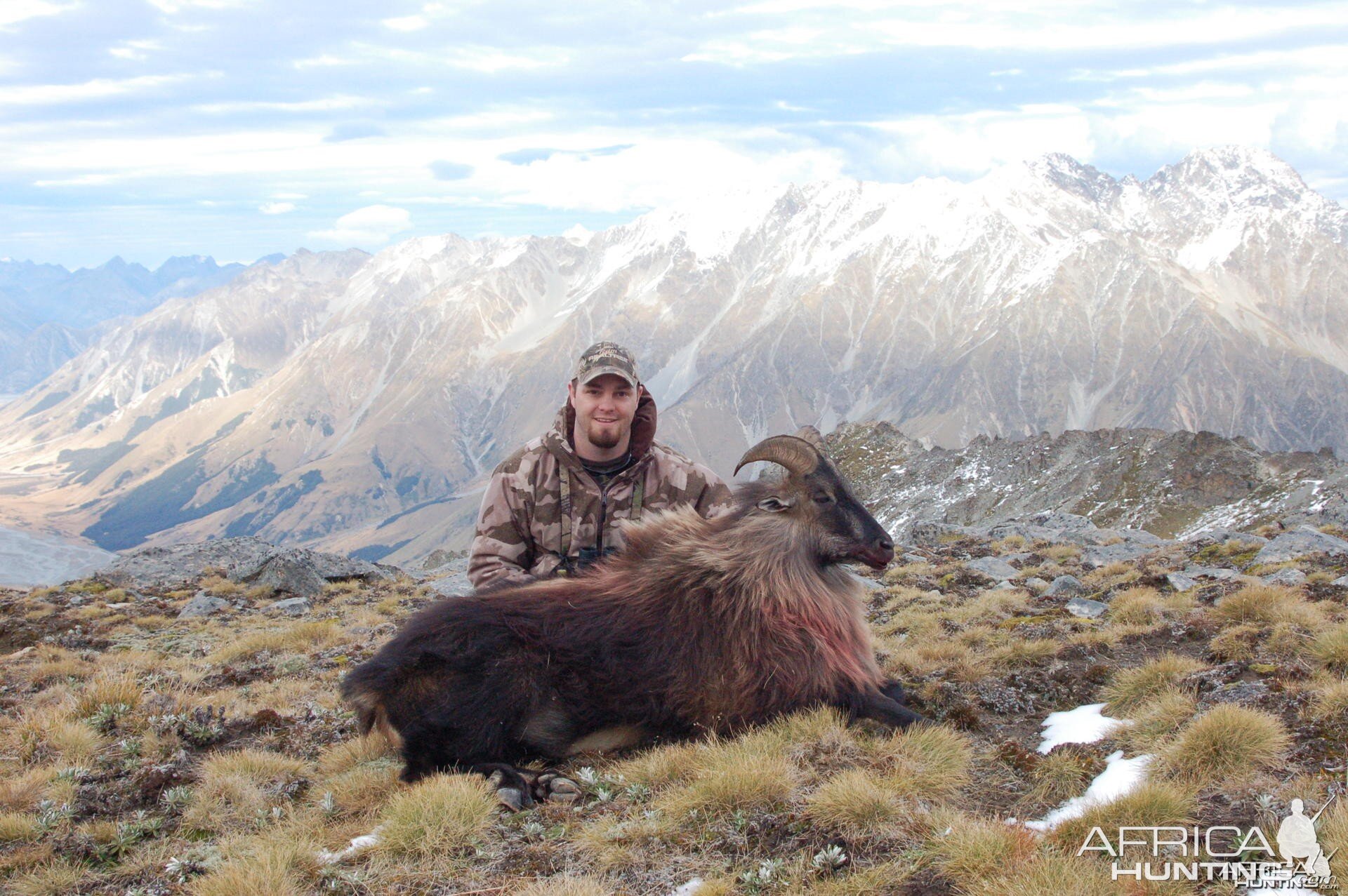 Tahr Hunt