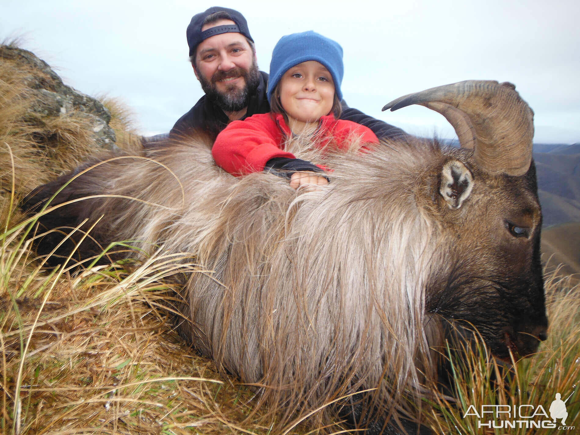 Tahr Hunting New Zealand