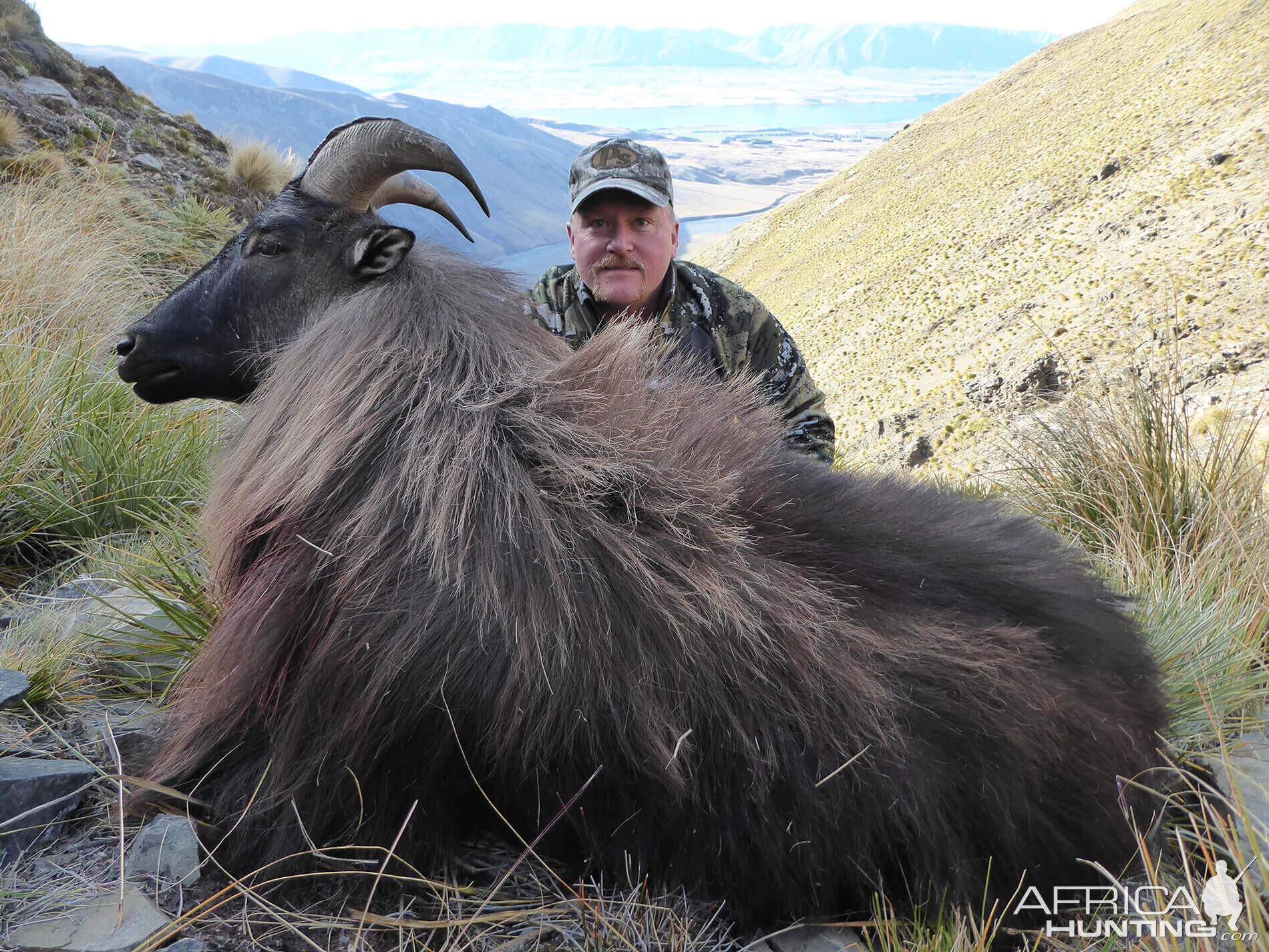 Tahr Hunting New Zealand