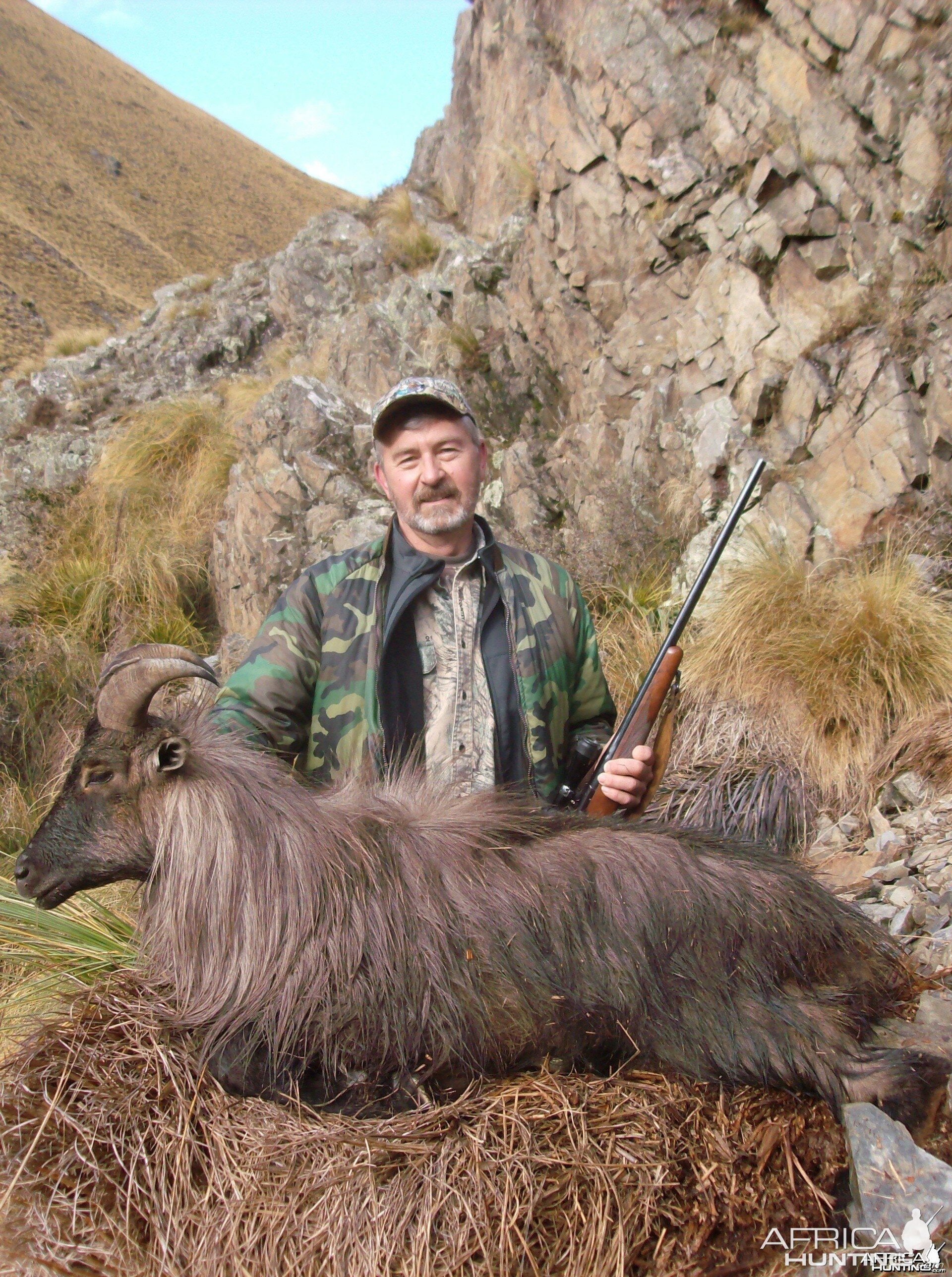 Tahr New Zealand  2015