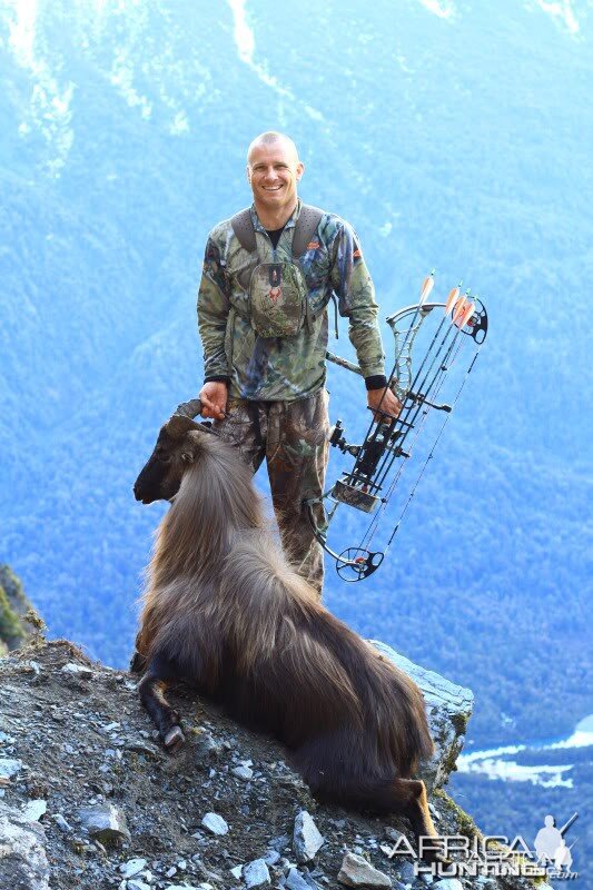 Tahr