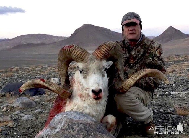 Tajikistan Hunting Marco Polo Sheep