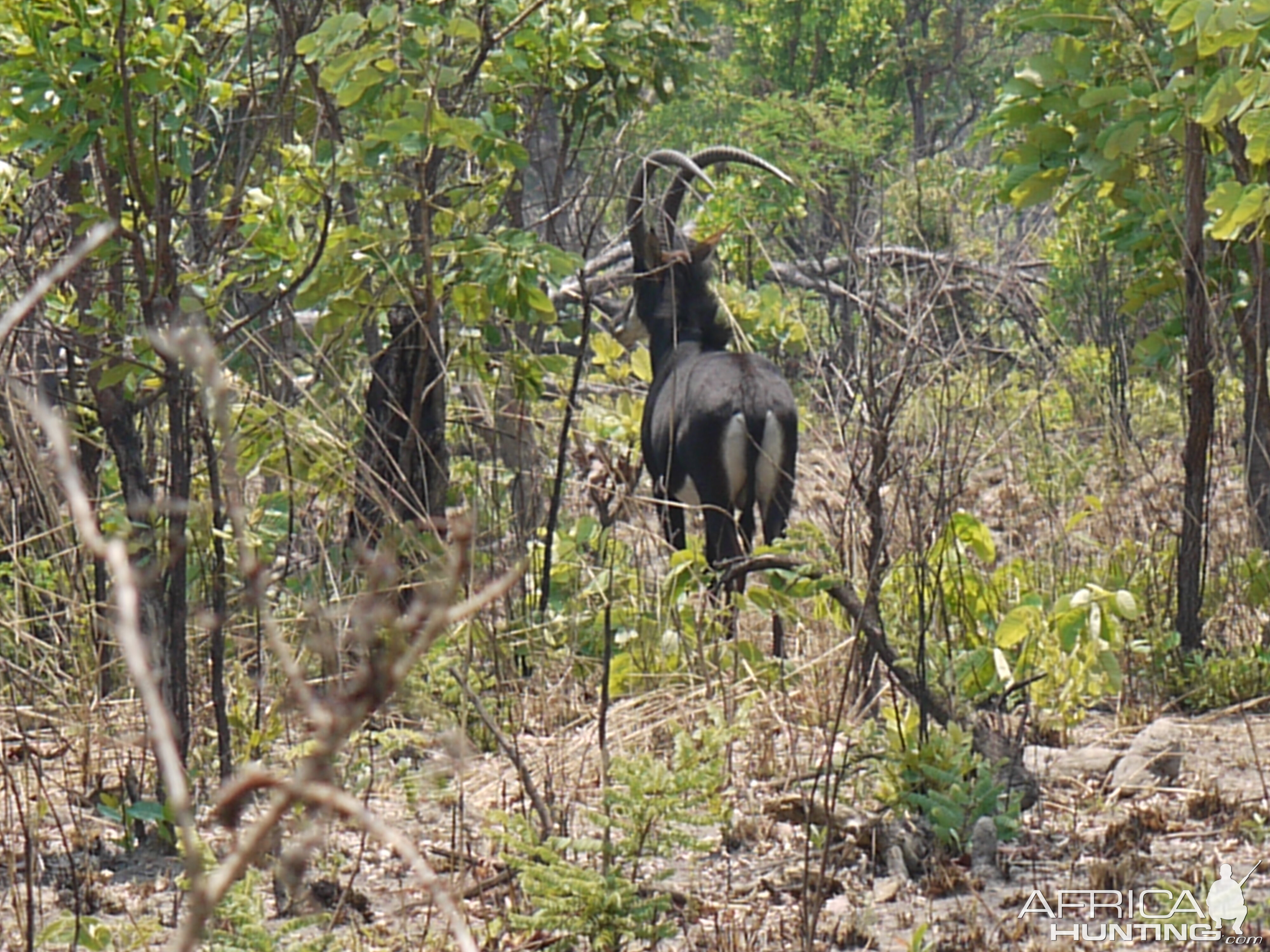 takeri private reserve