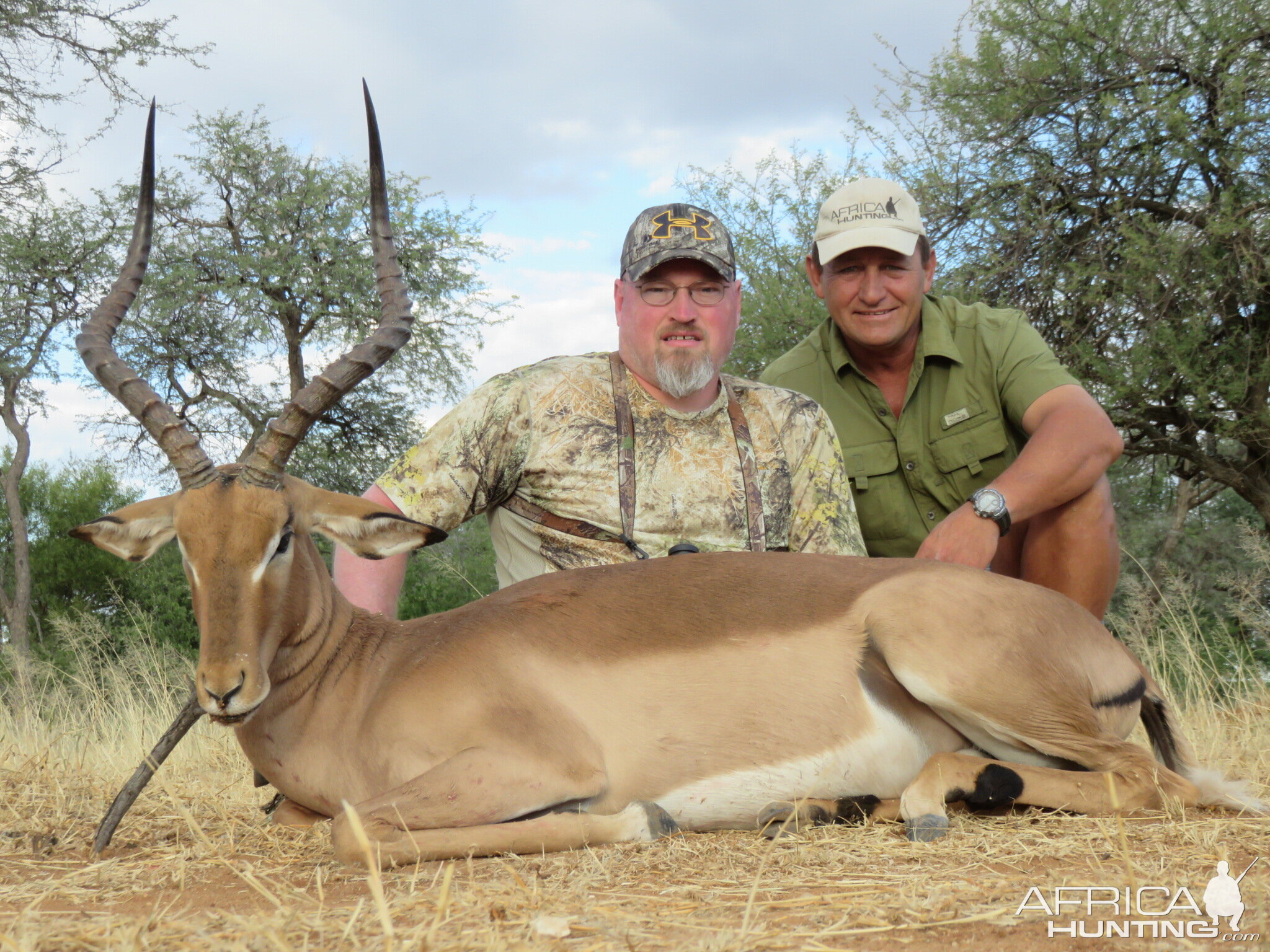 Tall Ram Impala Hunt