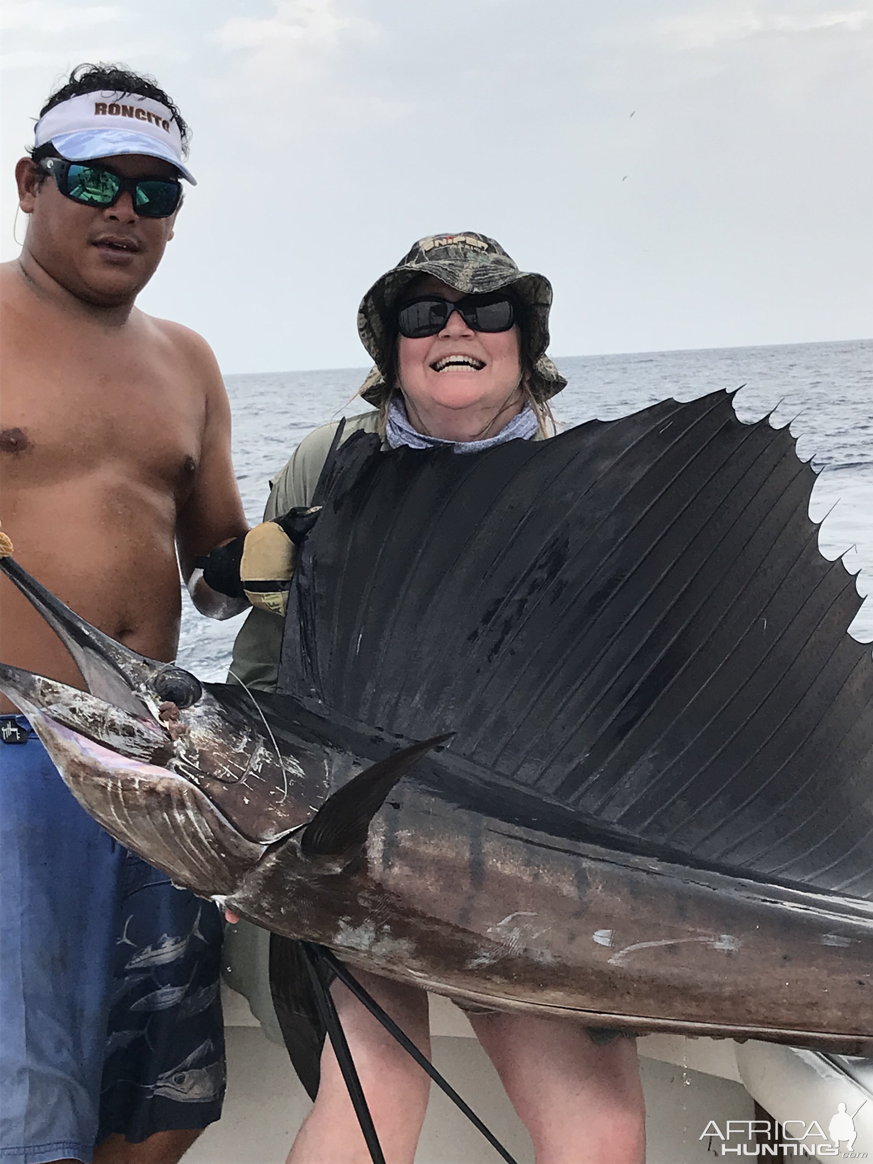 Tammy's sailfish