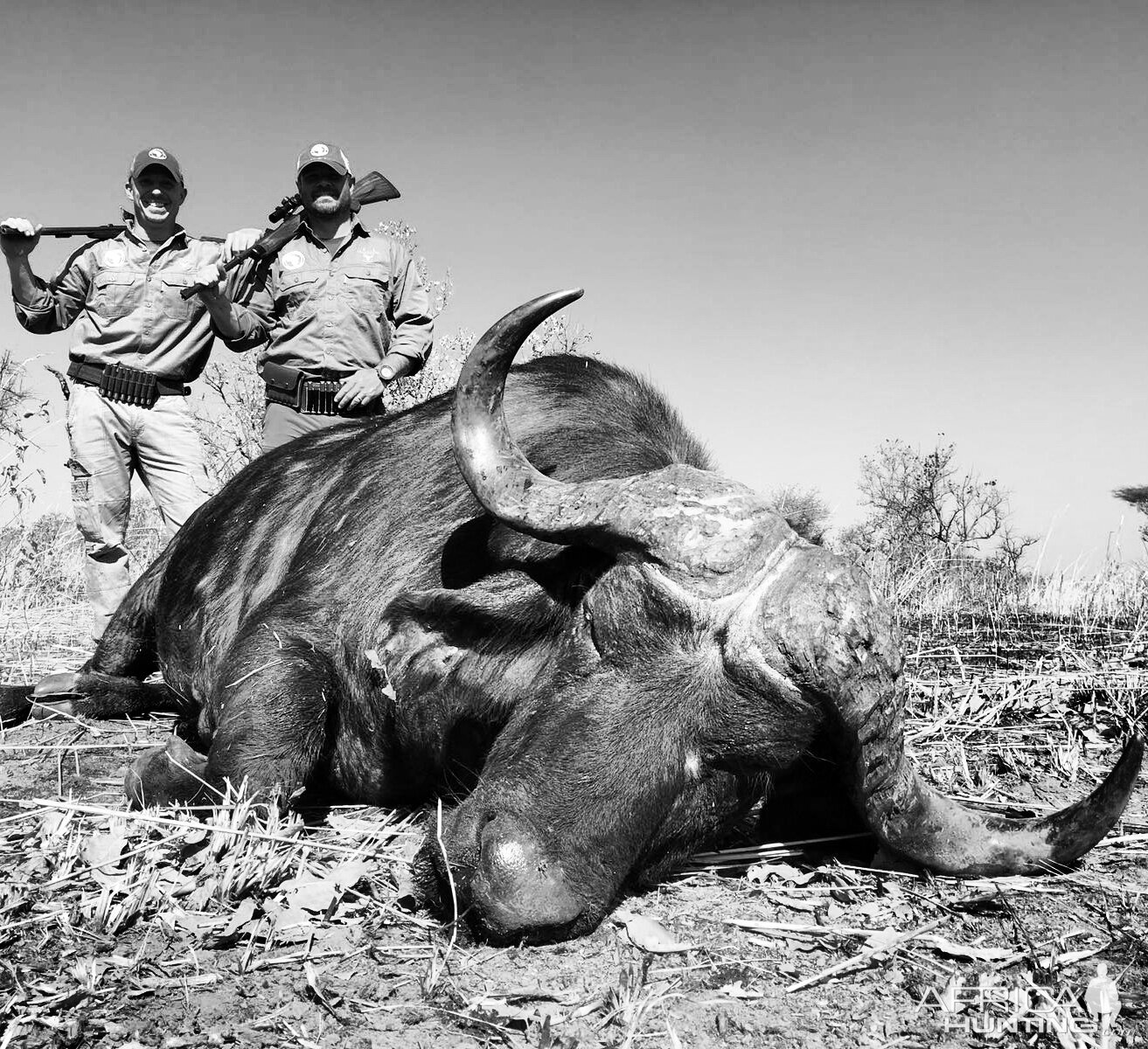 Tanzania Cape Buffalo Hunt