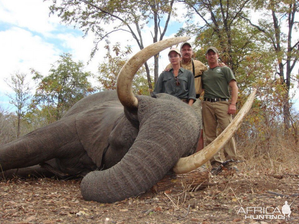 Tanzania Hunt Elephant