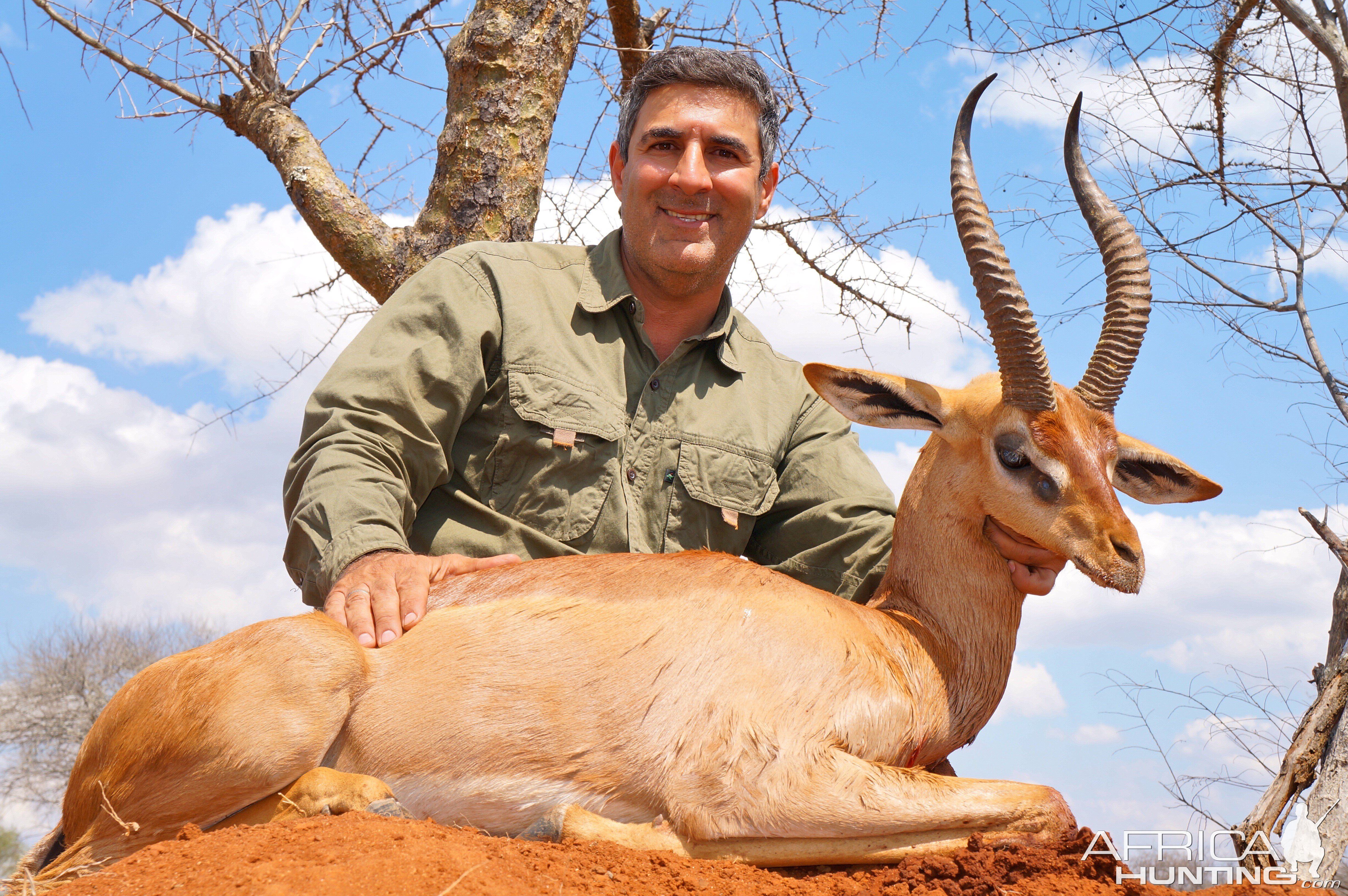 Tanzania Hunt Gerenuk