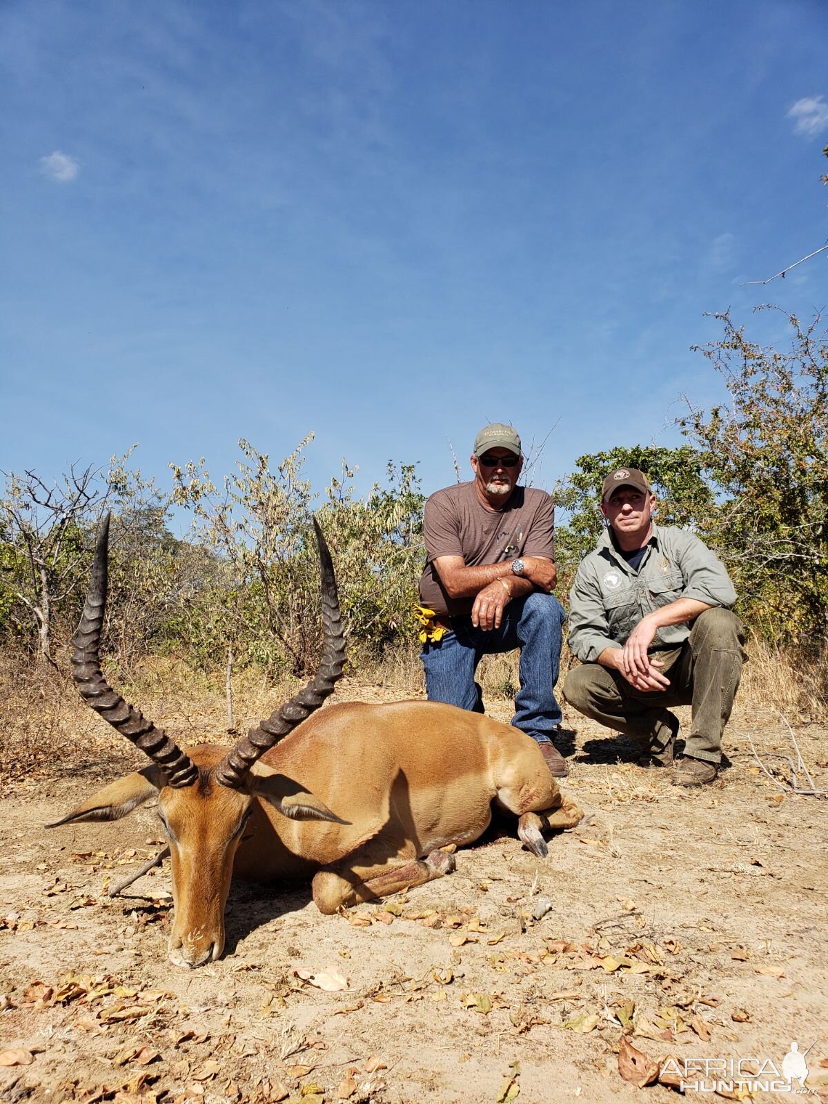 Tanzania Hunt Impala