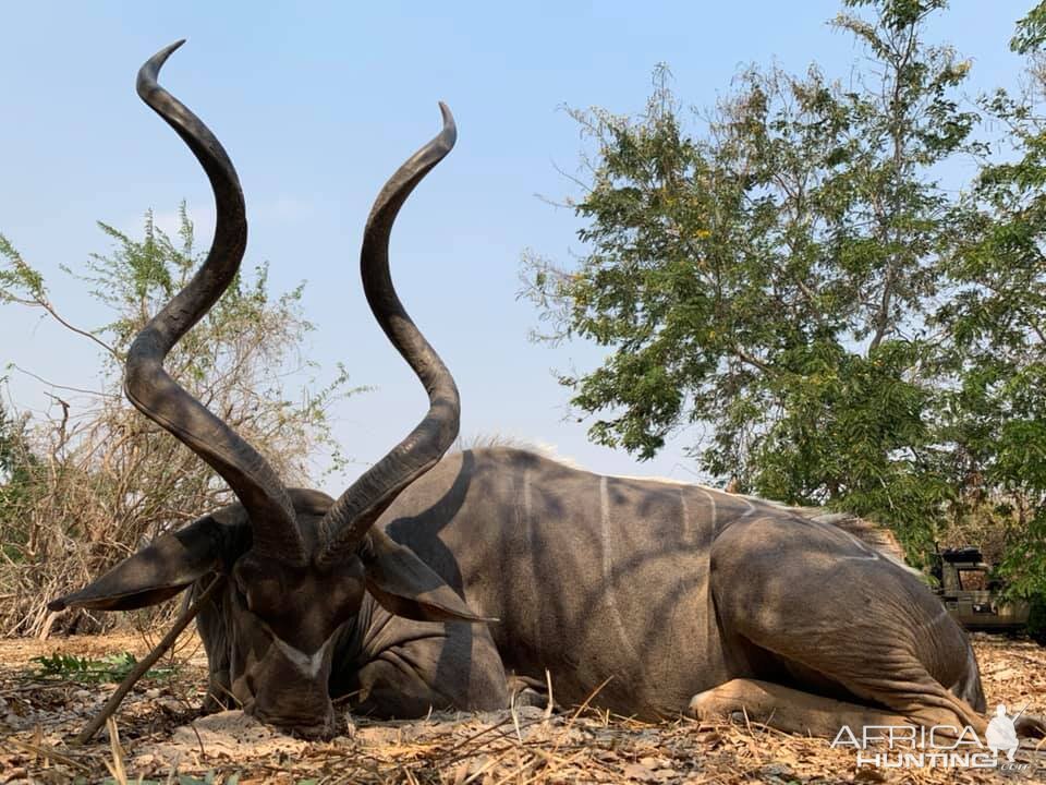 Tanzania Hunt Kudu