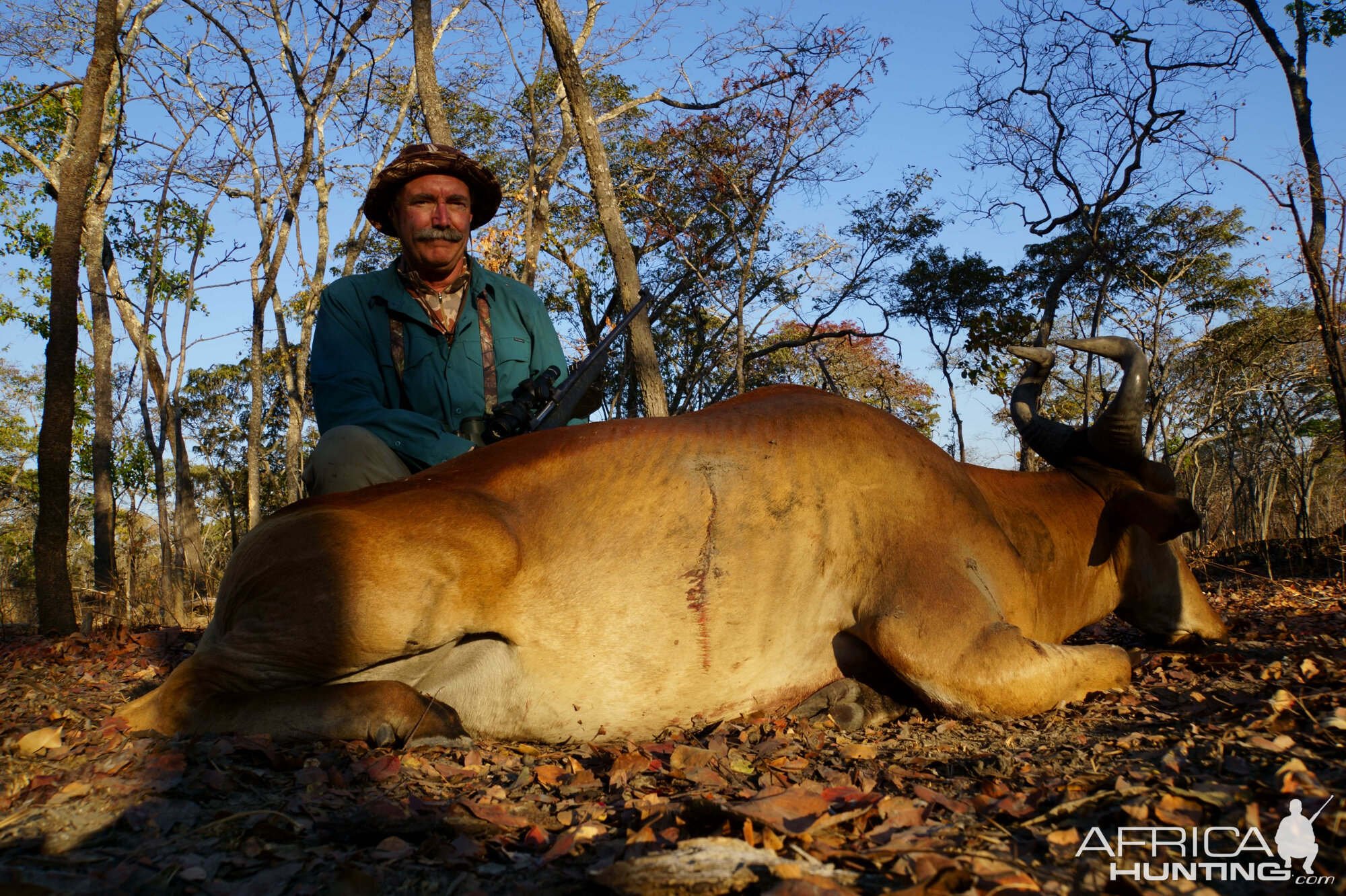 Tanzania Hunt Lichtenstein Hartebeest