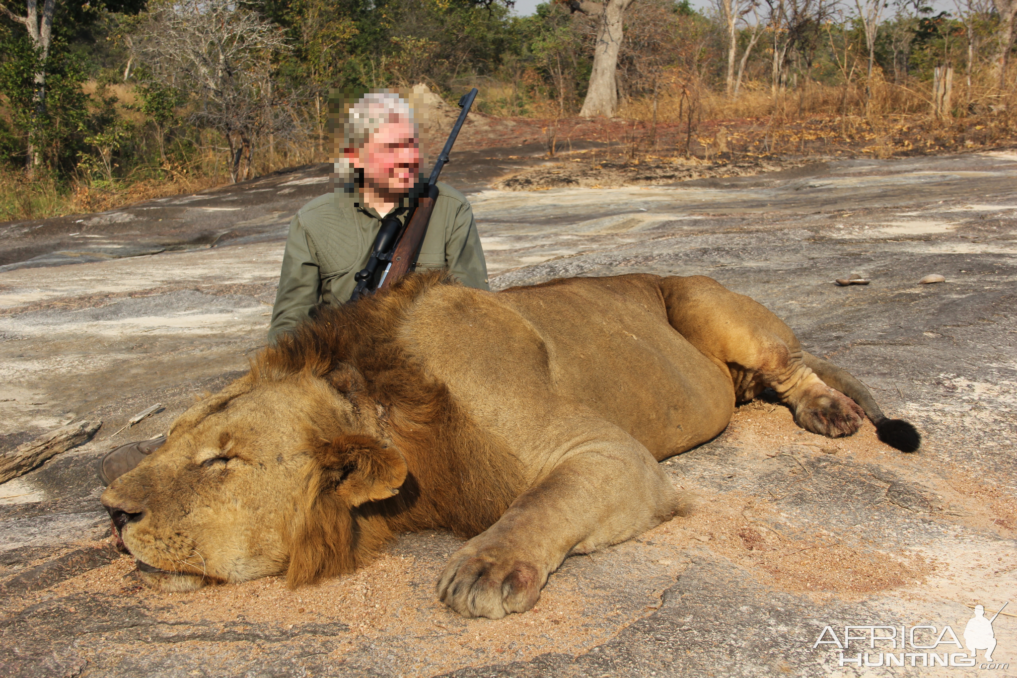 Tanzania Hunt Lion