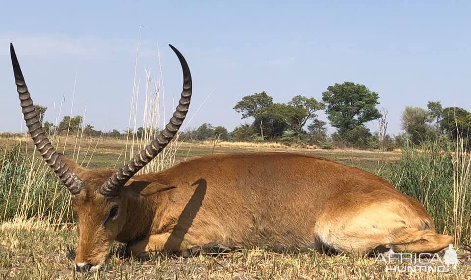 Tanzania Hunt Red Lechwe