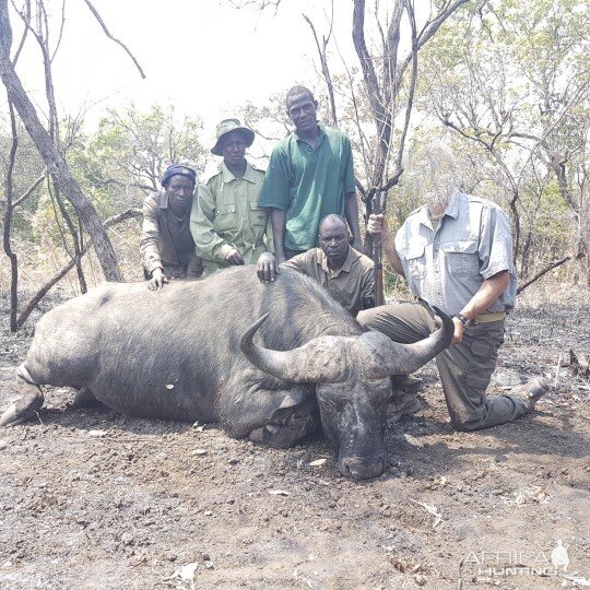 Tanzania Hunting Buffalo