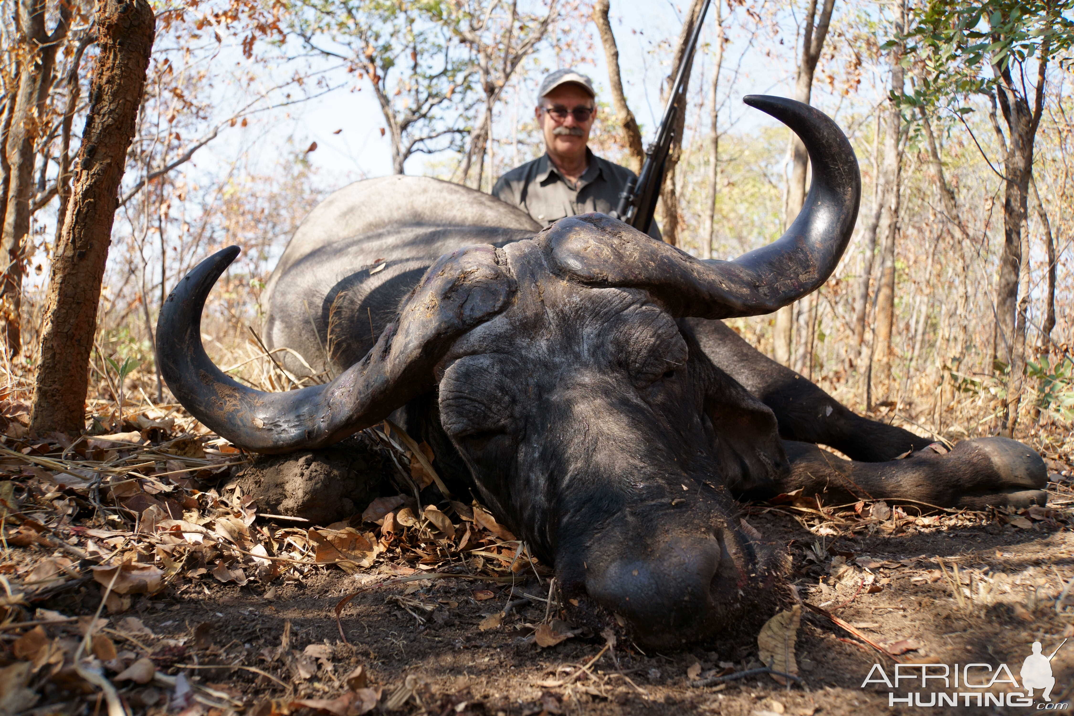 Tanzania Hunting Buffalo