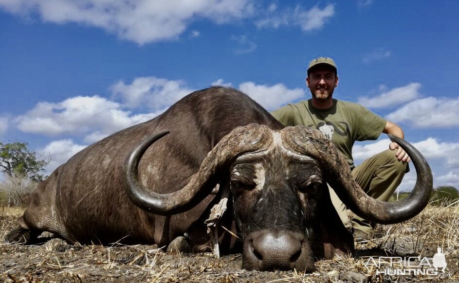 Tanzania Hunting Buffalo