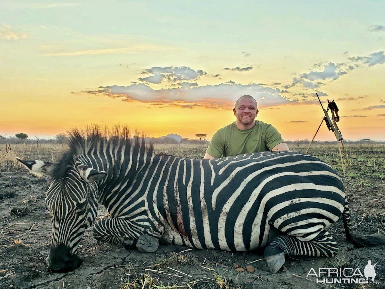 Tanzania Hunting Burchell's Plain Zebra