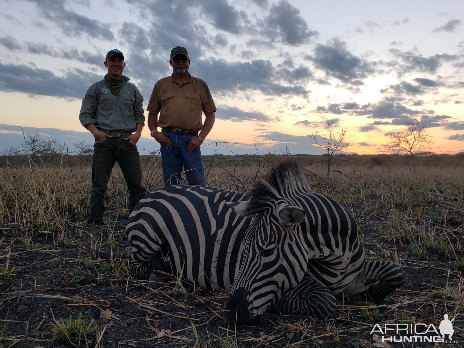 Tanzania Hunting Burchell's Plain Zebra