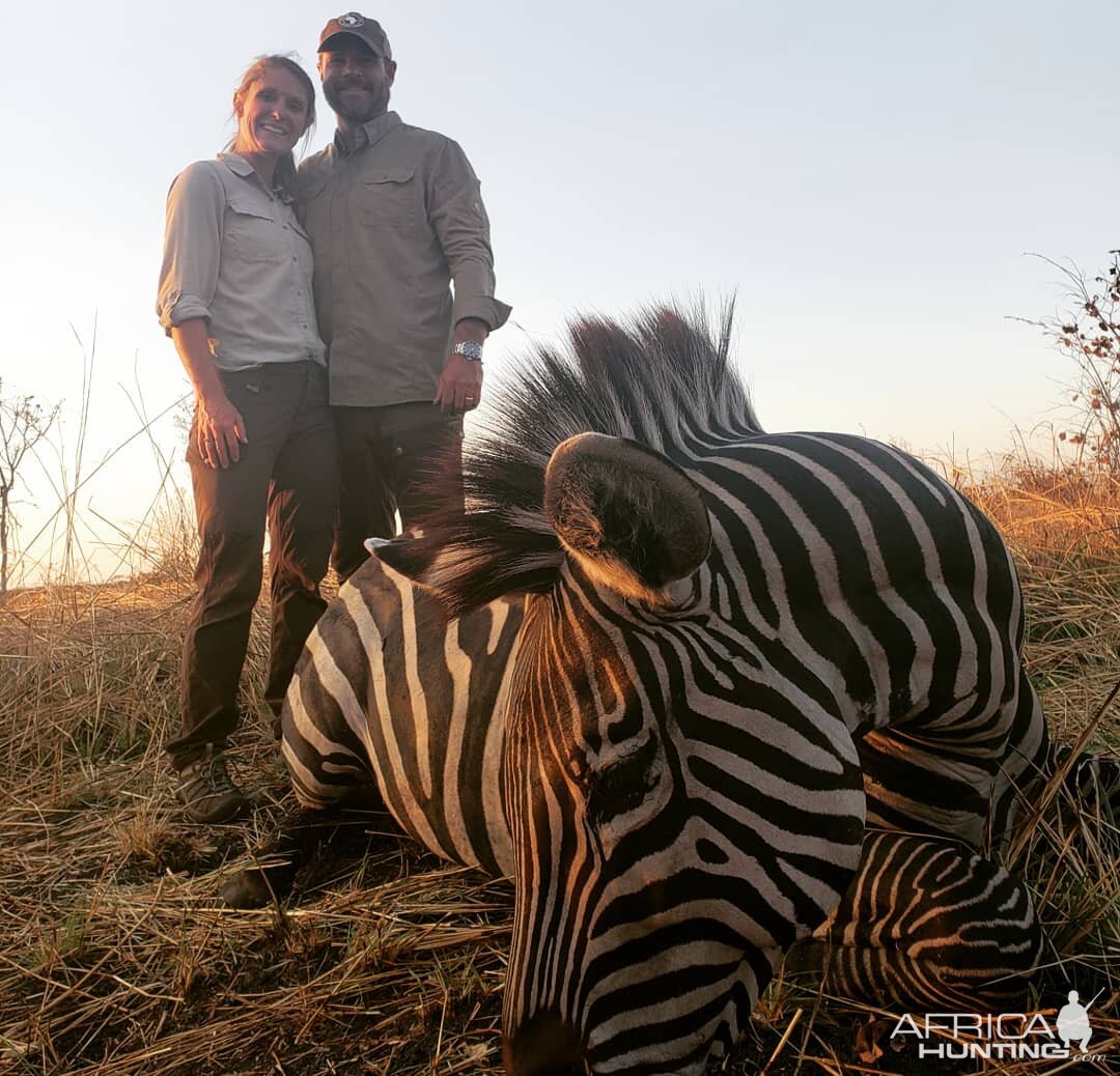 Tanzania Hunting  Burchell's Plain Zebra