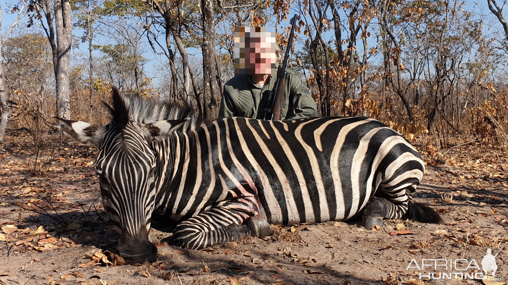 Tanzania Hunting Burchell's Plain Zebra