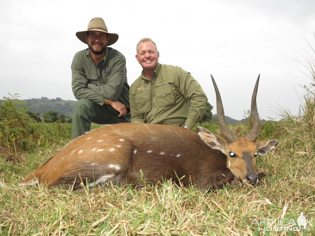 Tanzania Hunting Bushbuck