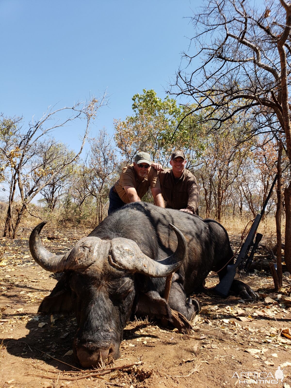 Tanzania Hunting Cape Buffalo