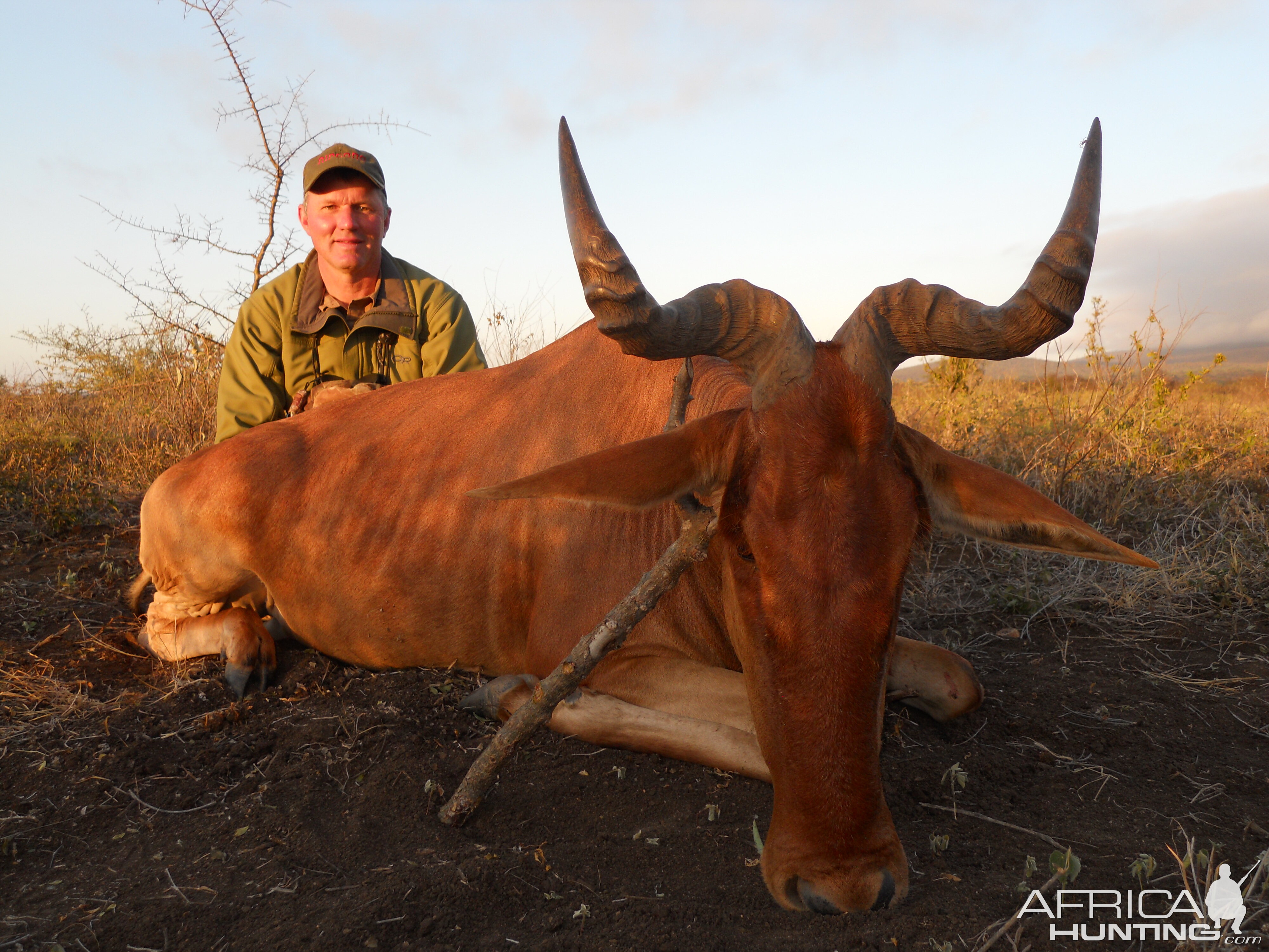 Tanzania Hunting Coke's Hartebeest