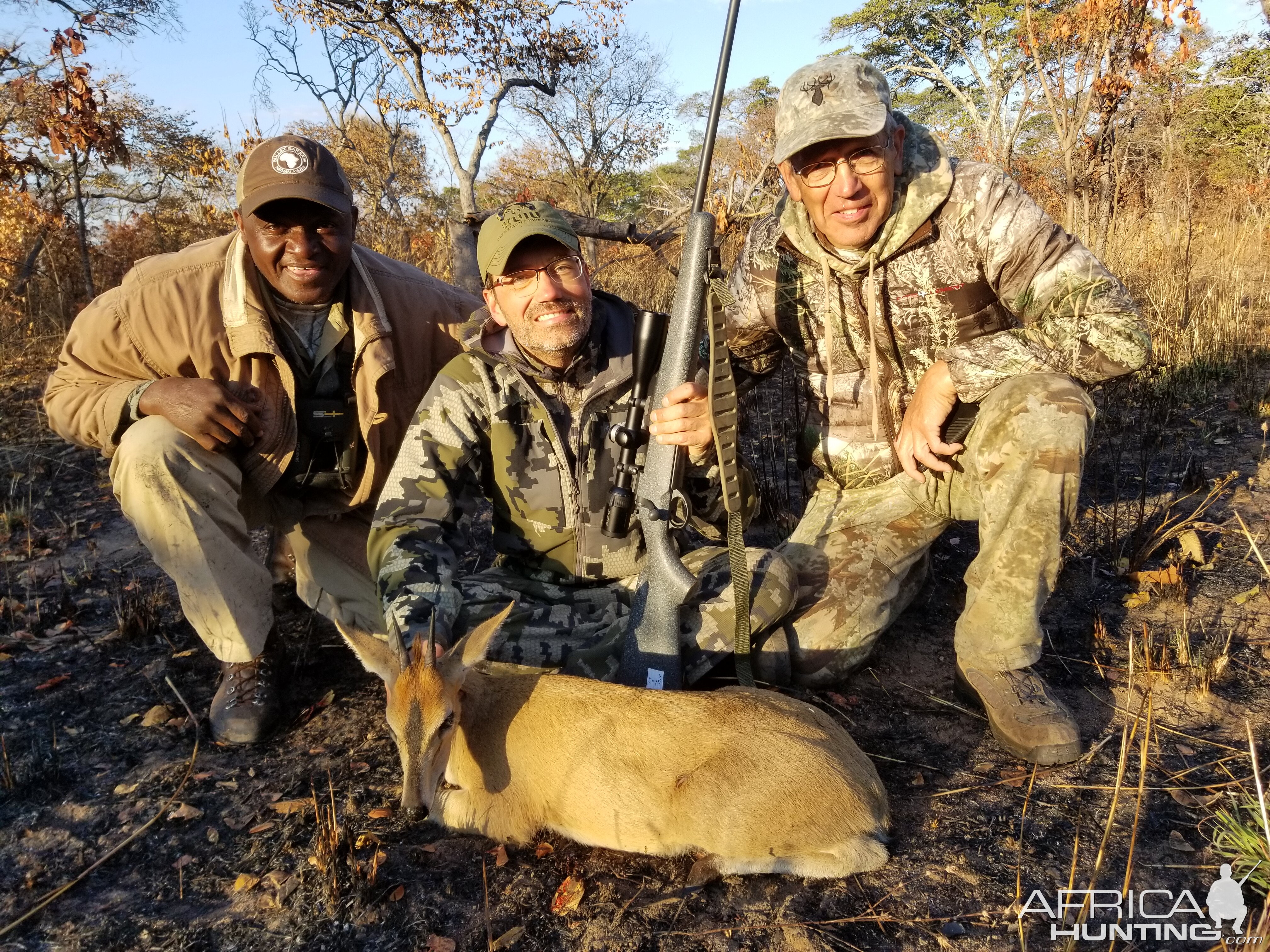 Tanzania Hunting Duiker