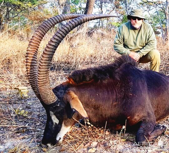 Tanzania Hunting Sable Antelope