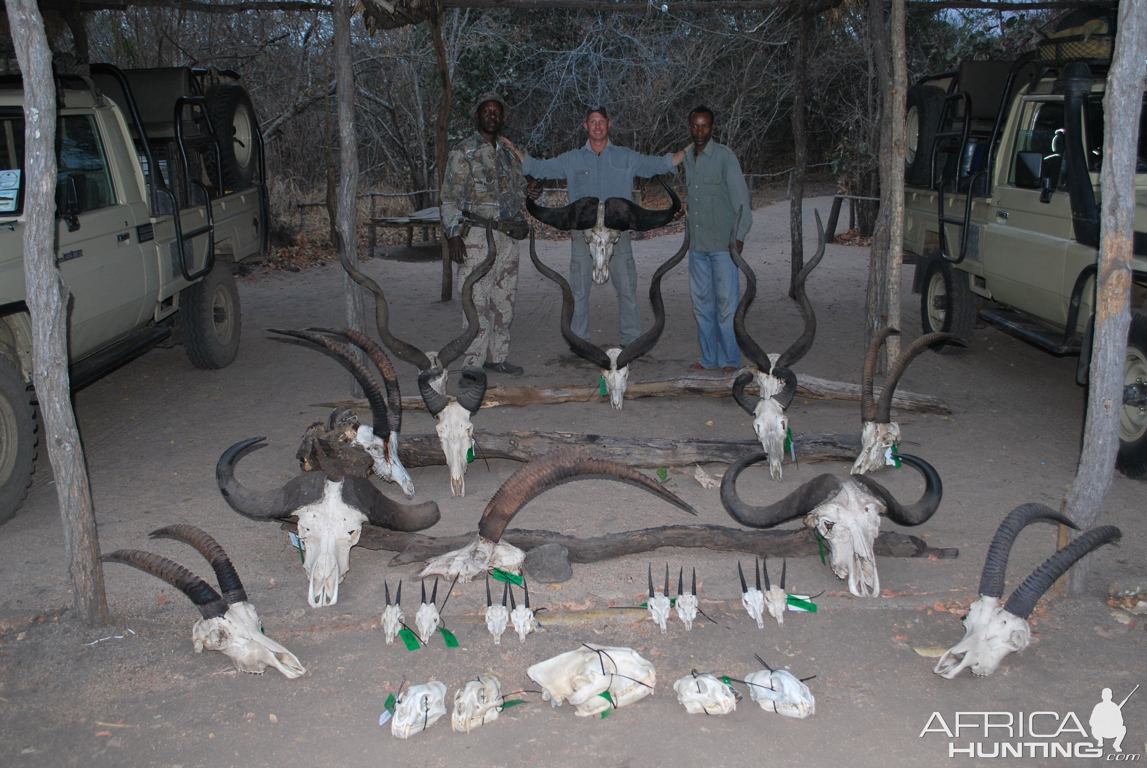 Tanzania Hunting Trophies